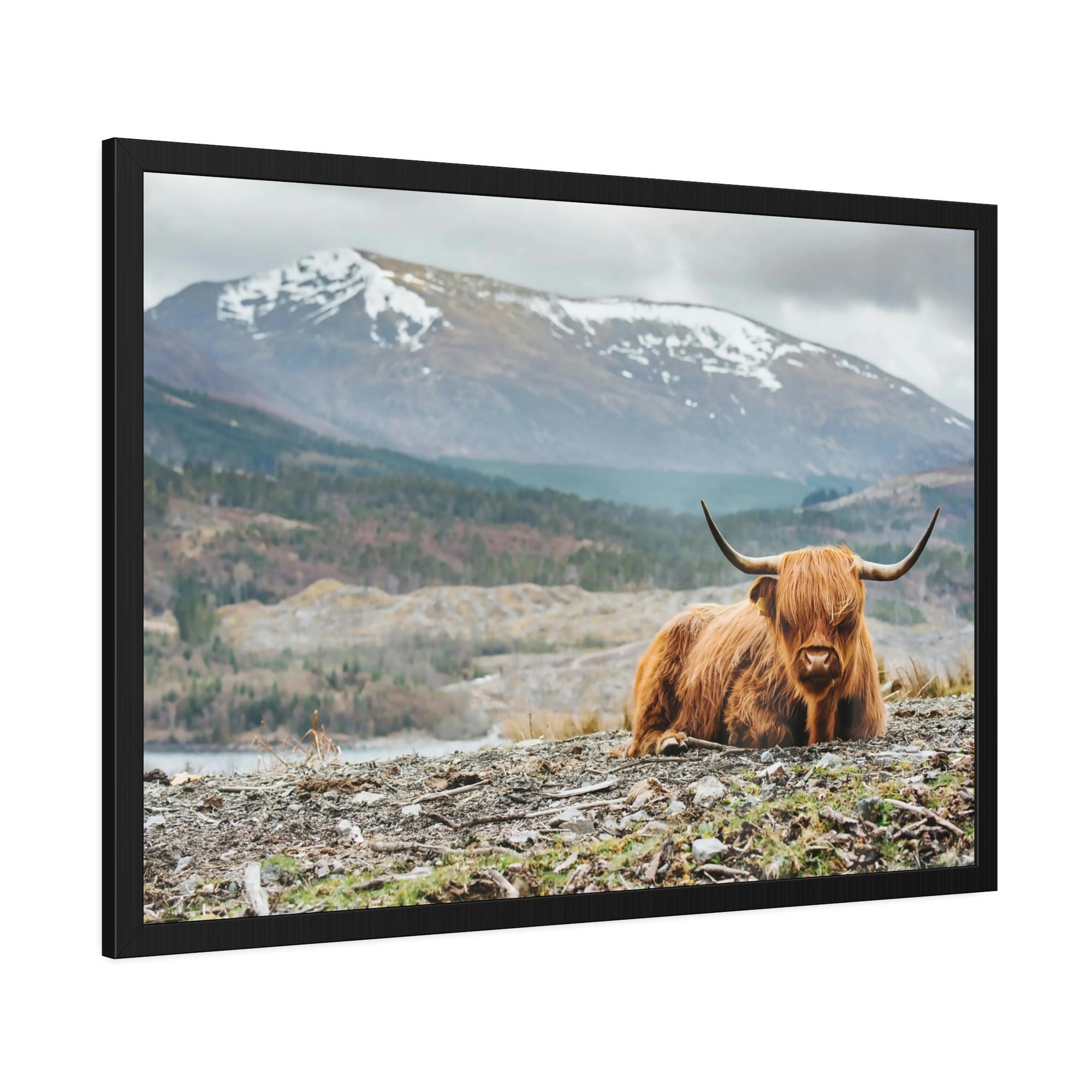 Highland Cow Highland Cow | Furry Cow in the Mountains | Art Canvas — Pixoram