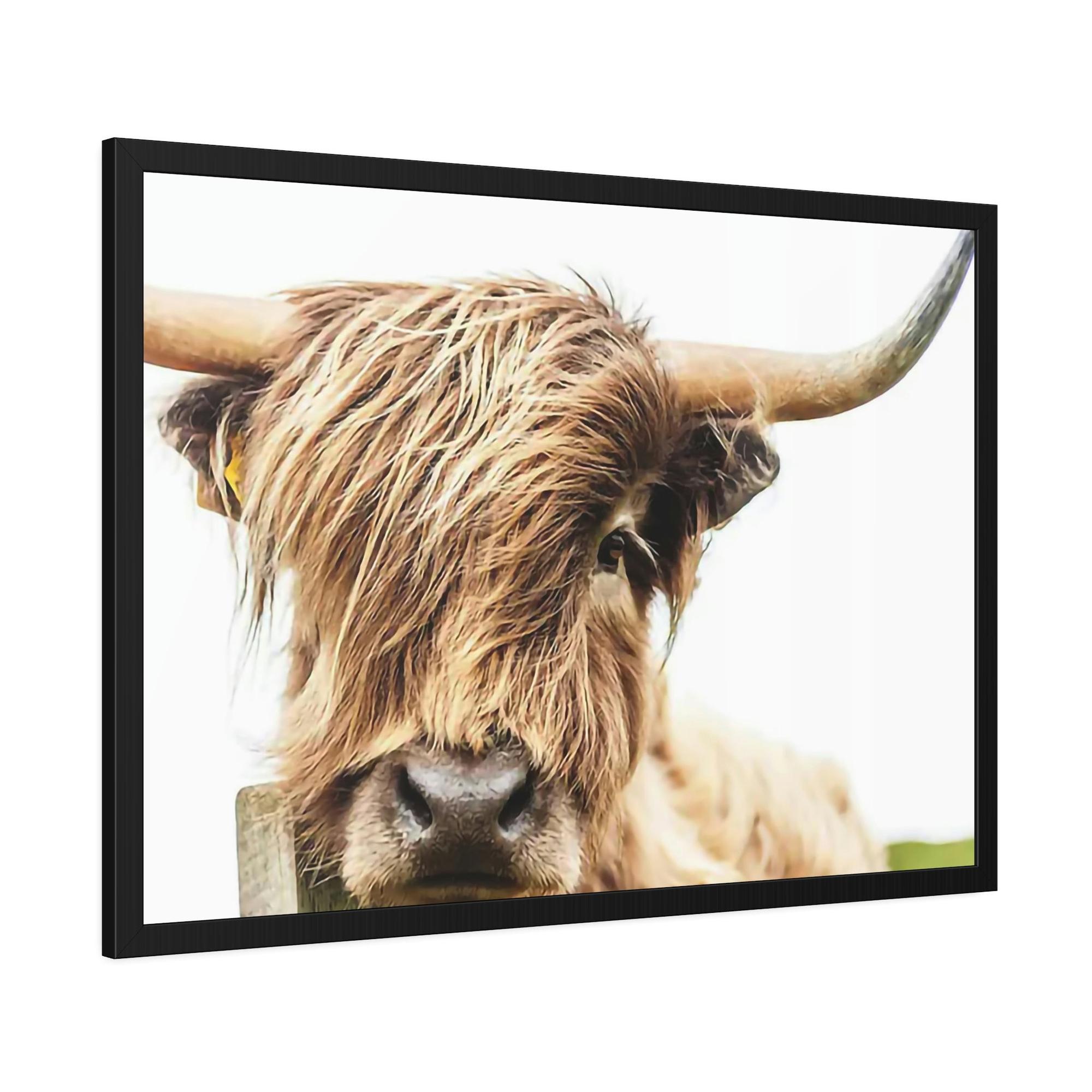 Highland Cow Highland Cow Canvas Wall Art | Mellow Highland Cow | Canvas Art — Pixoram