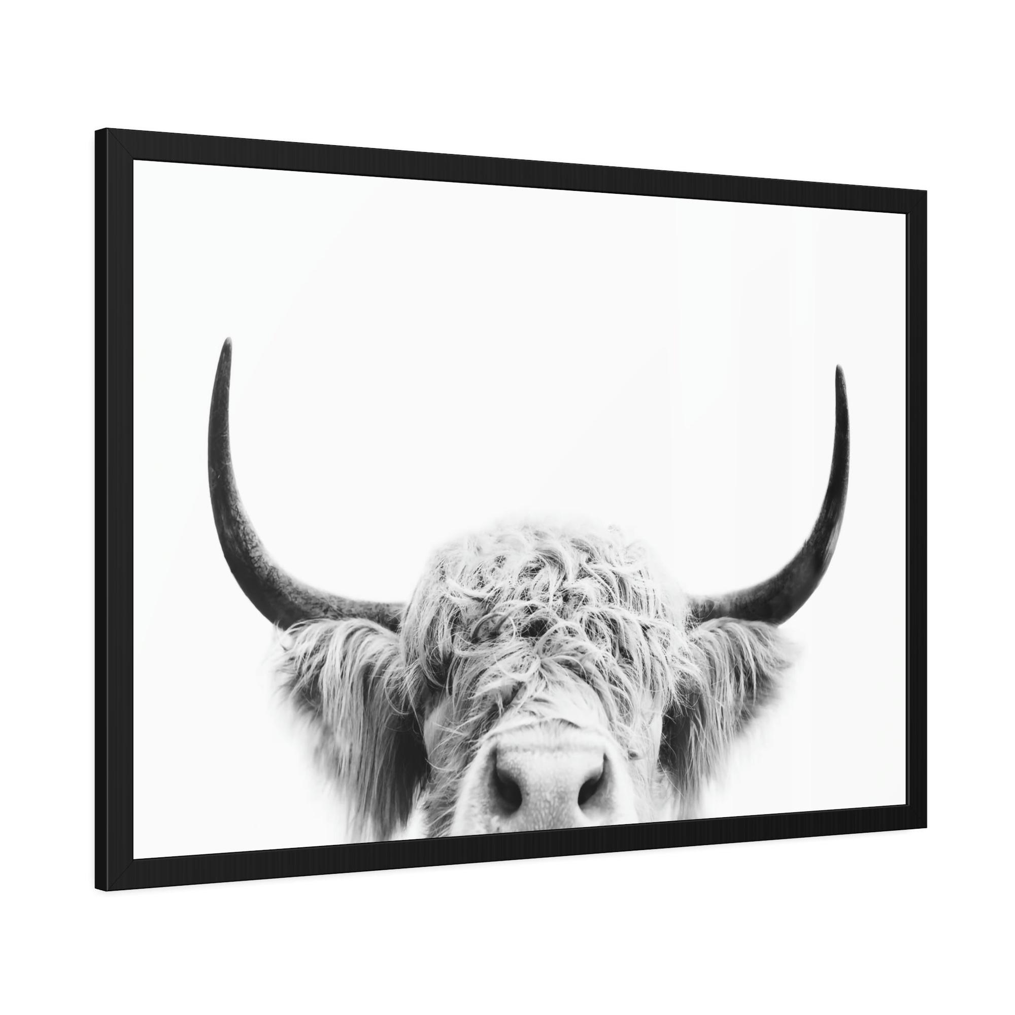Highland Cow Highland Cow | Close-up of a Horned Cow | Wall Art — Pixoram