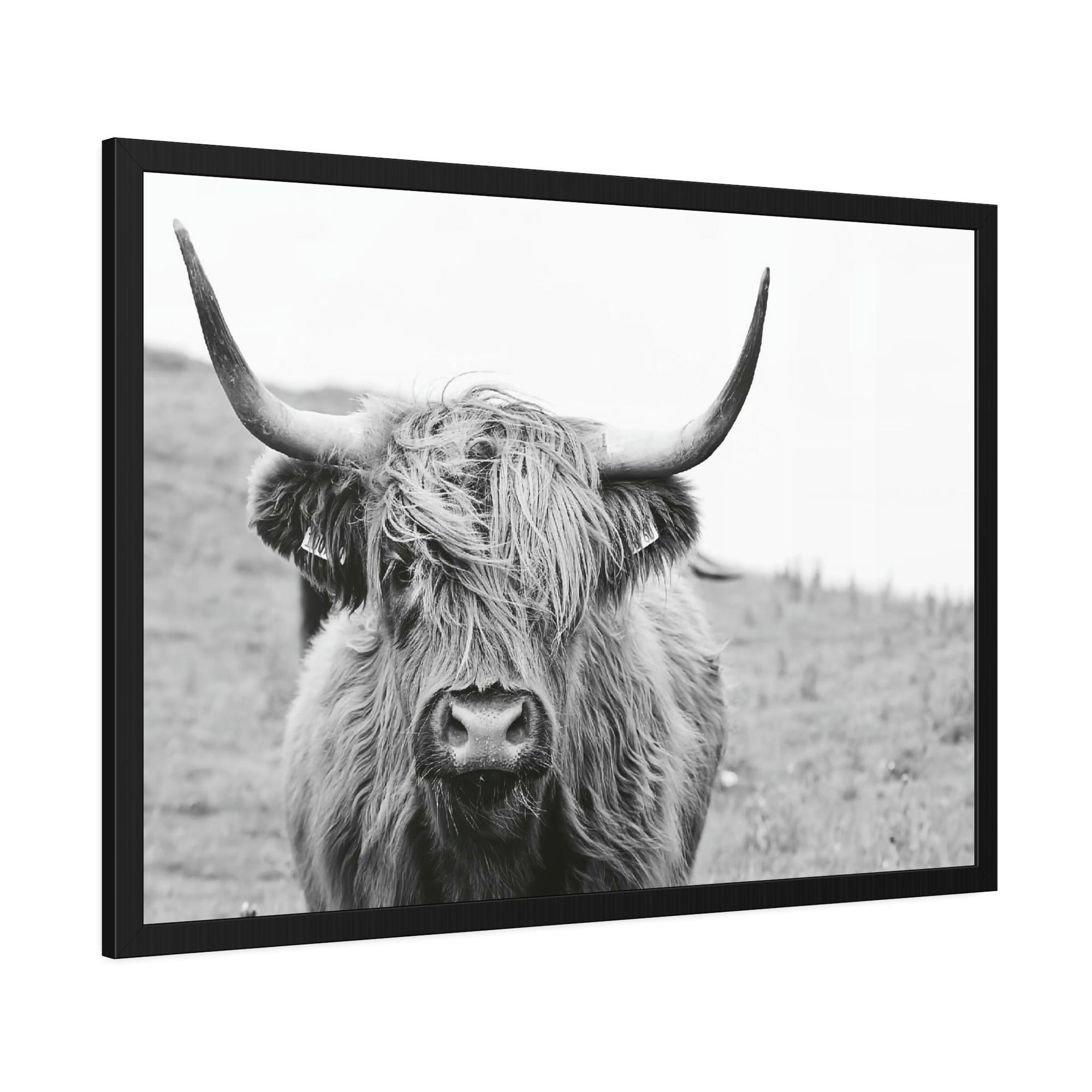 Highland Cow Highland Cow Wall Art | Black-White Colors | Canvas Art — Pixoram