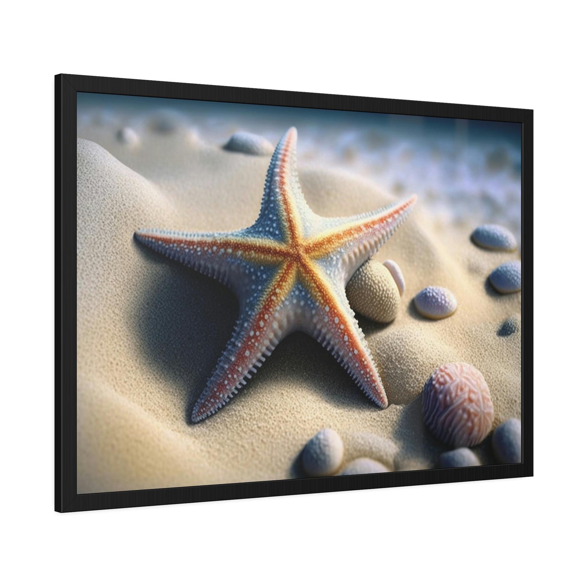 Starfishs Starfish Tales: A Story of Sea Life and Wonder