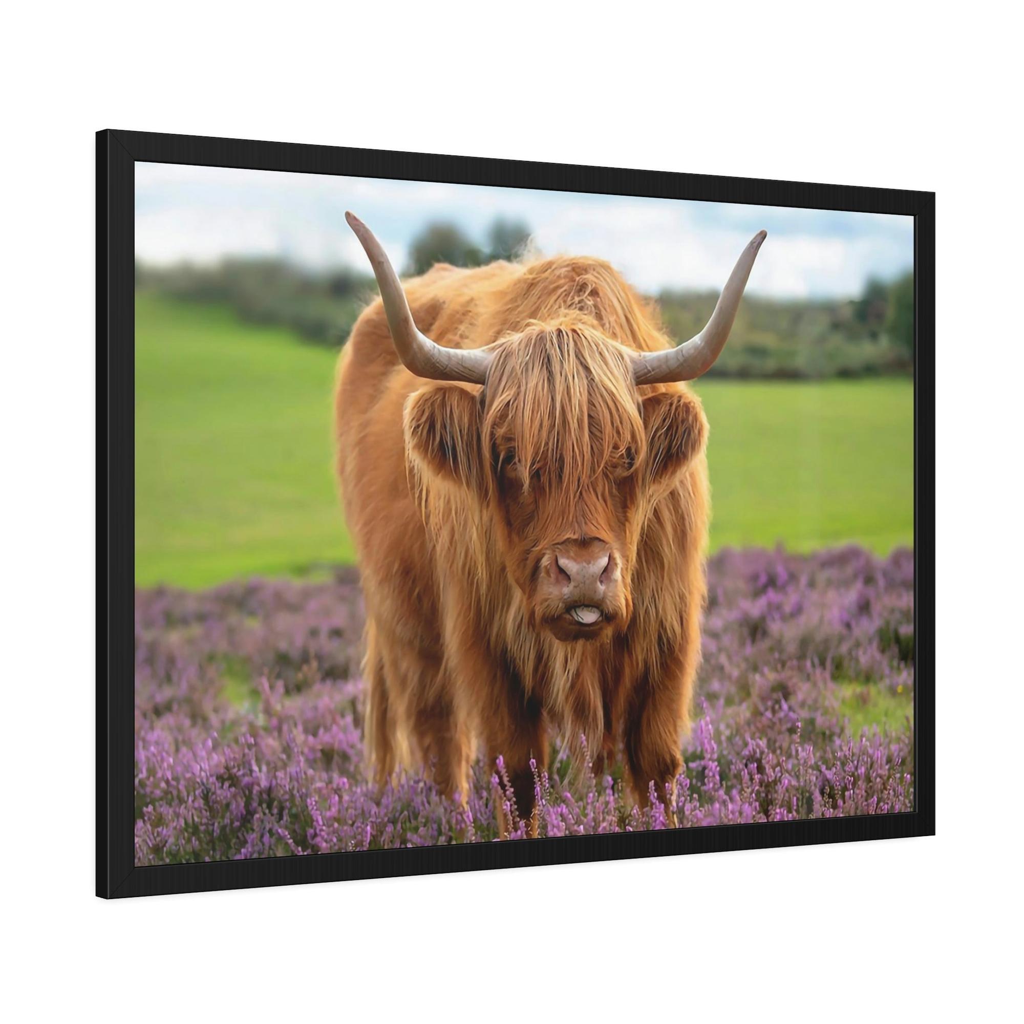 Highland Cow Highland Cow | Brown Cow in the Flowering Field | Canvas Art — Pixoram