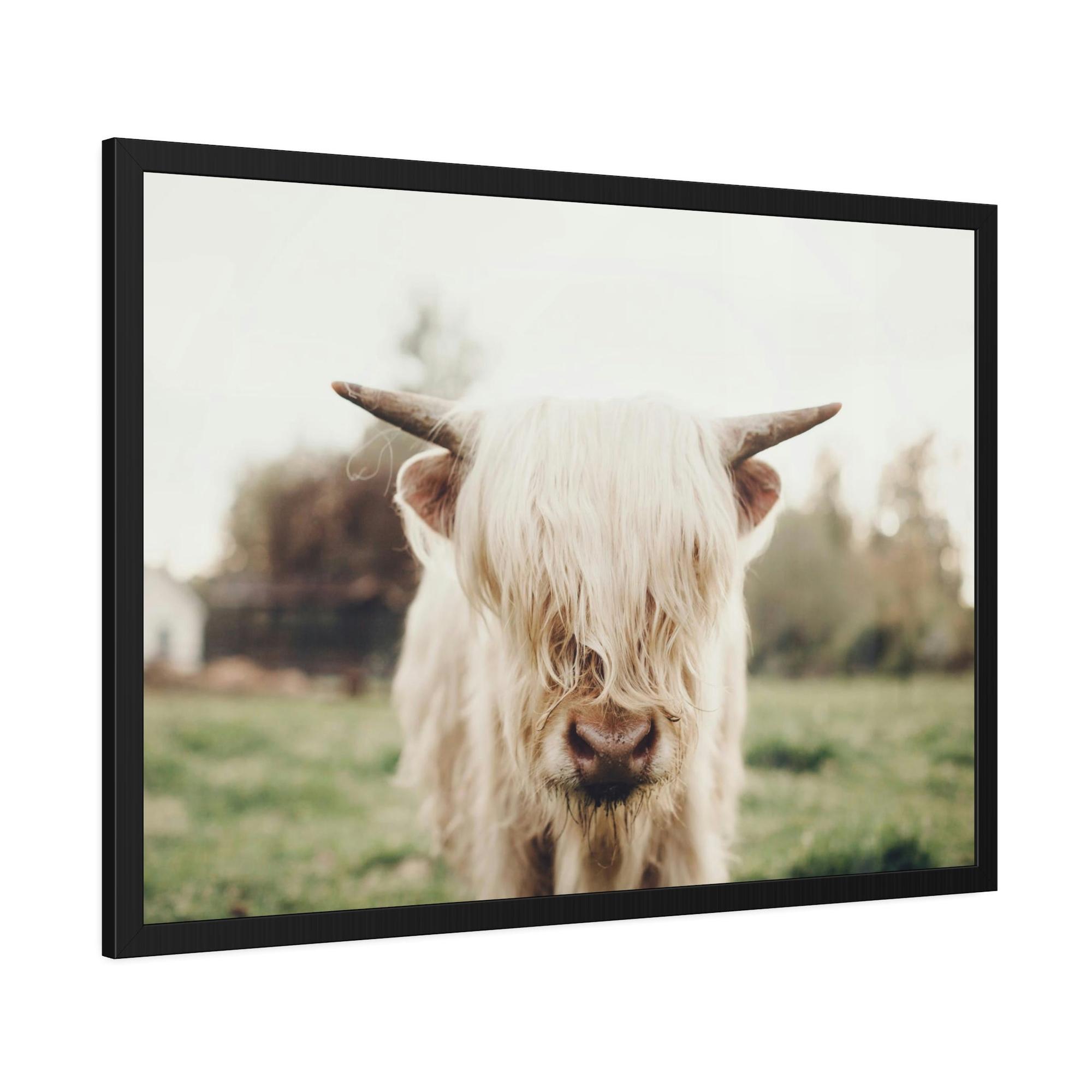 Highland Cow Highland Cow | Milky Color of Cow | Art Canvas — Pixoram