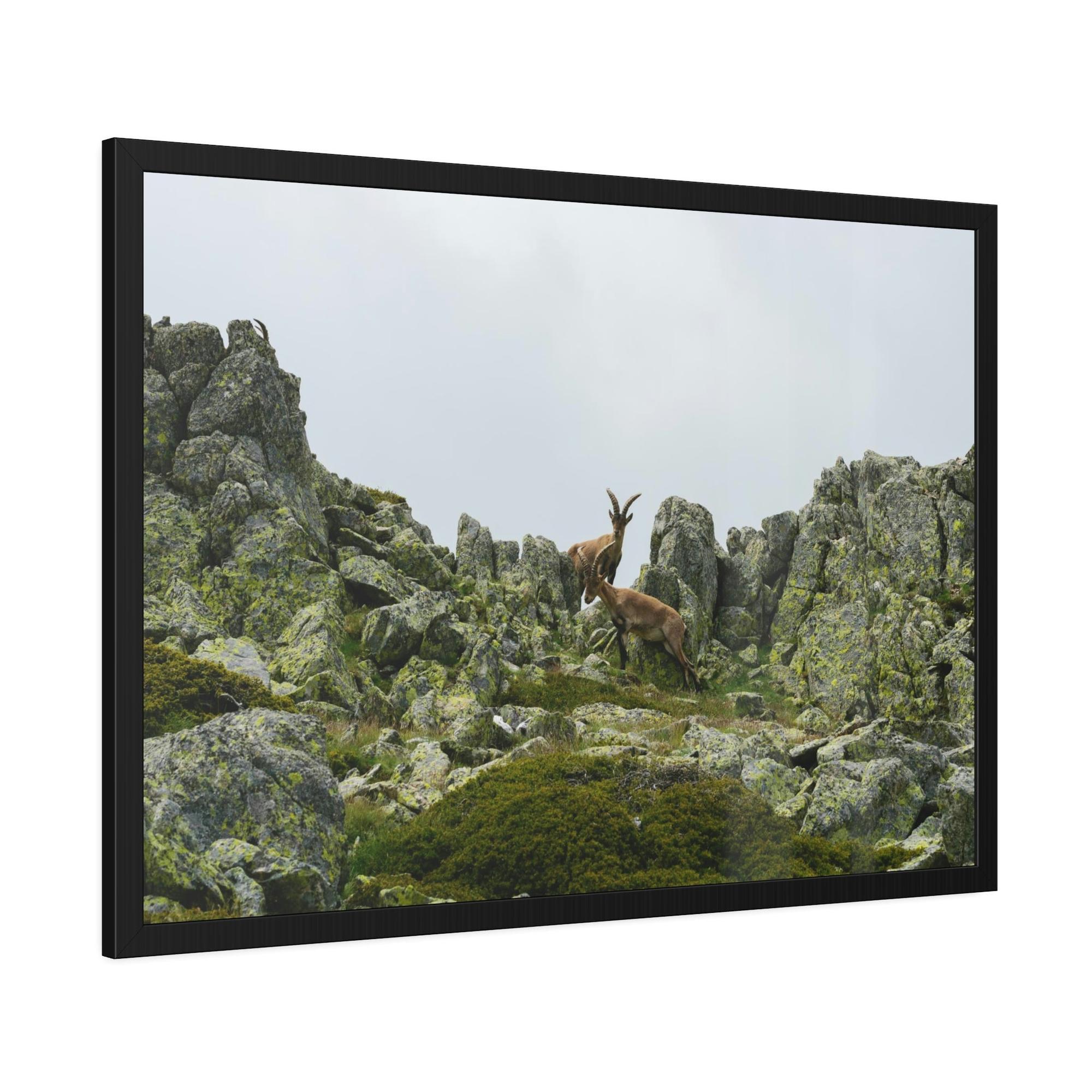 National Parks Natural Beauty: National Parks Canvas Art