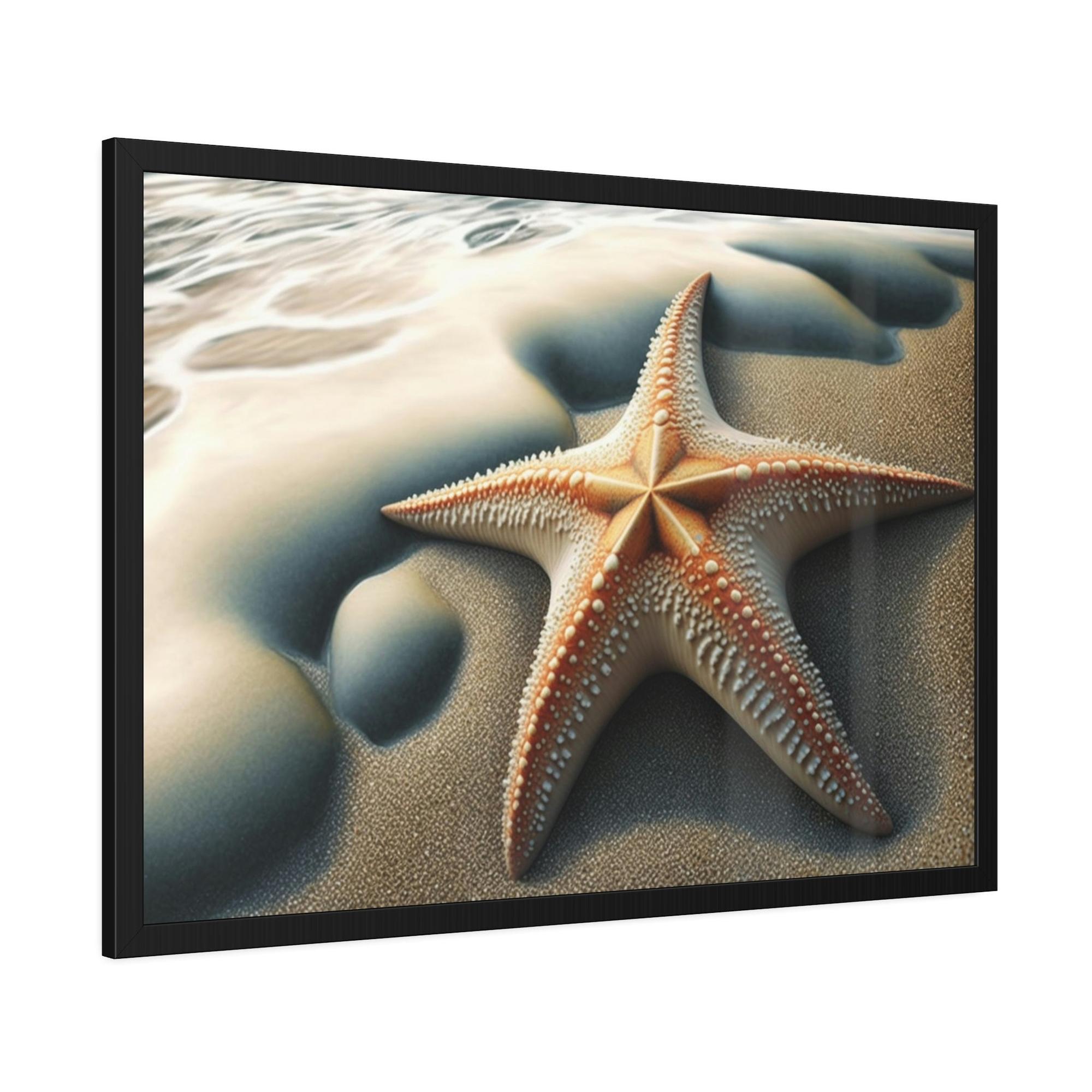 Starfishs Coral Kingdom: Starfish Edition