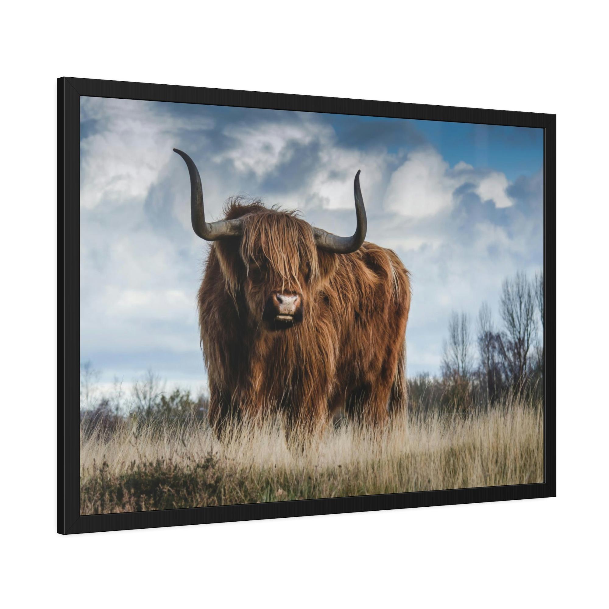Highland Cow Scottish Long Haired Cattle - Wall Art - Highland Cow | Animals Art