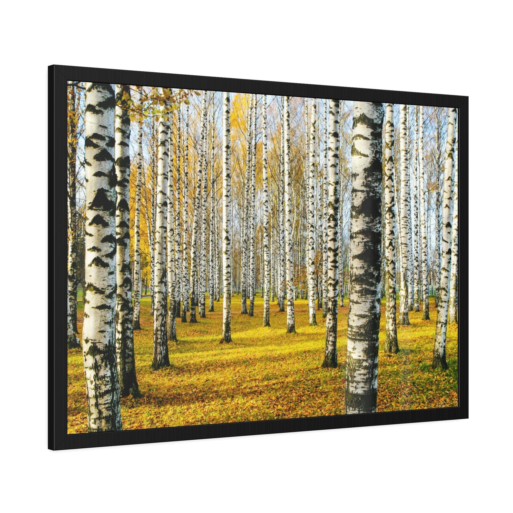 Aspen Trees The Serene Beauty of Aspen Trees: Wall Art for Your Home