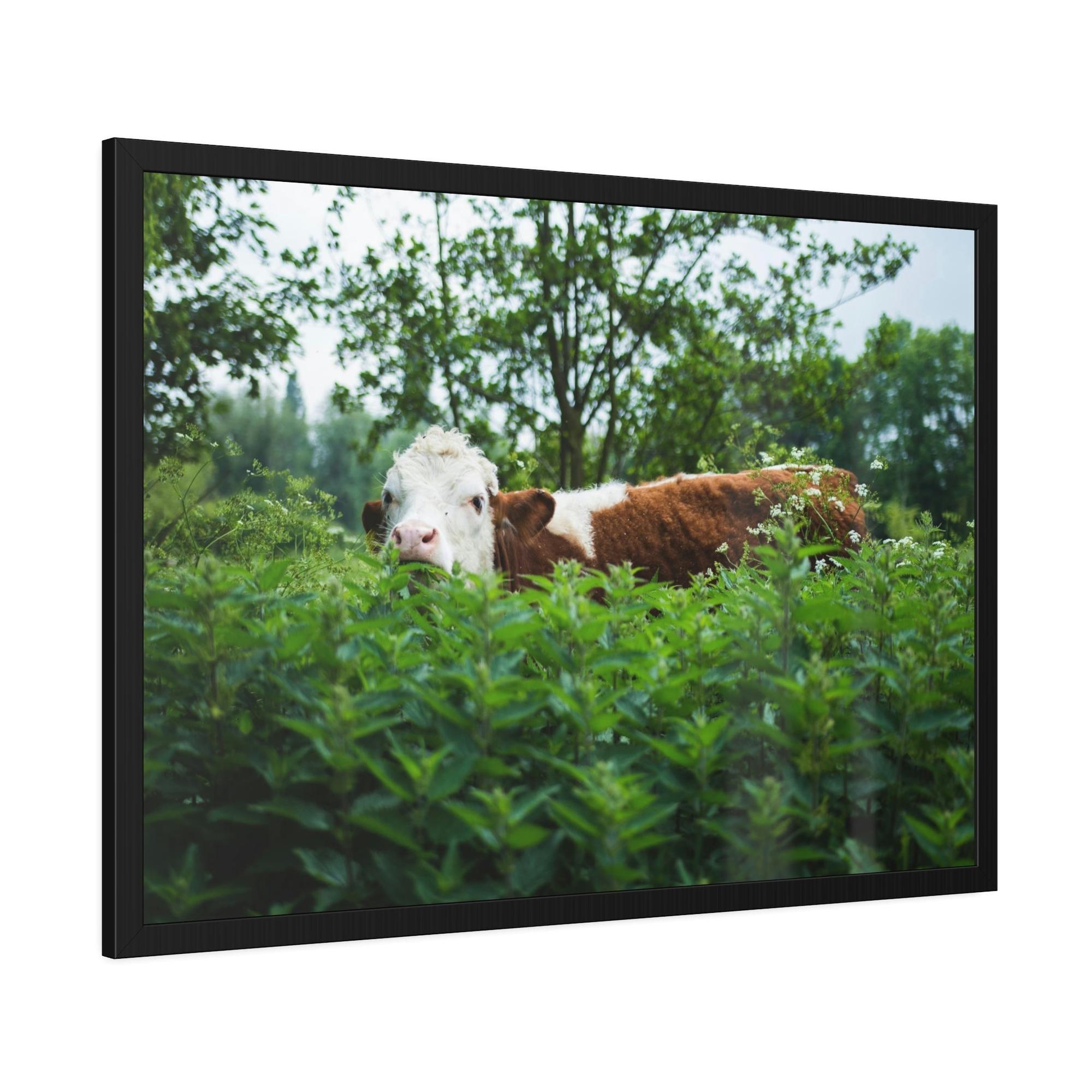 Cows The Art of Cow: Captivating Wall Art on Natural Canvas & Poster