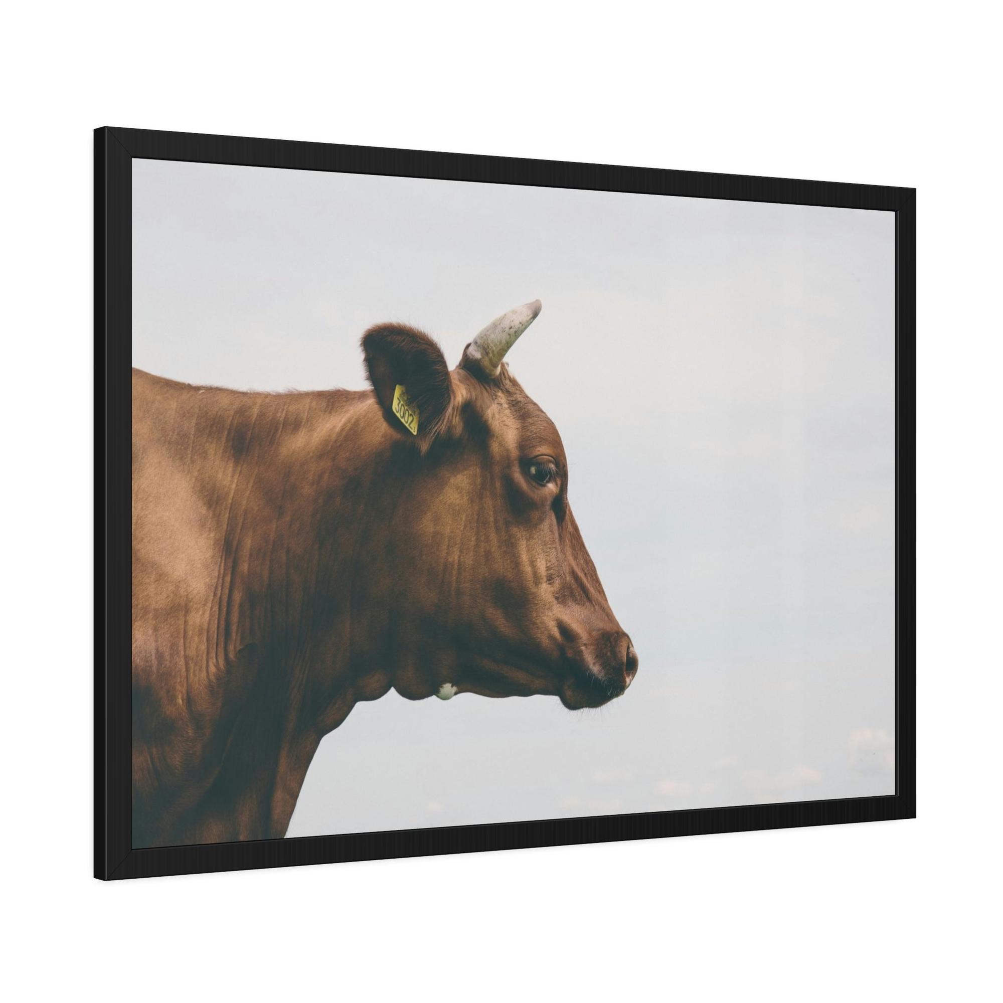 Highland Cow Scotch Highland Cattle - Wall Art | Animals Art