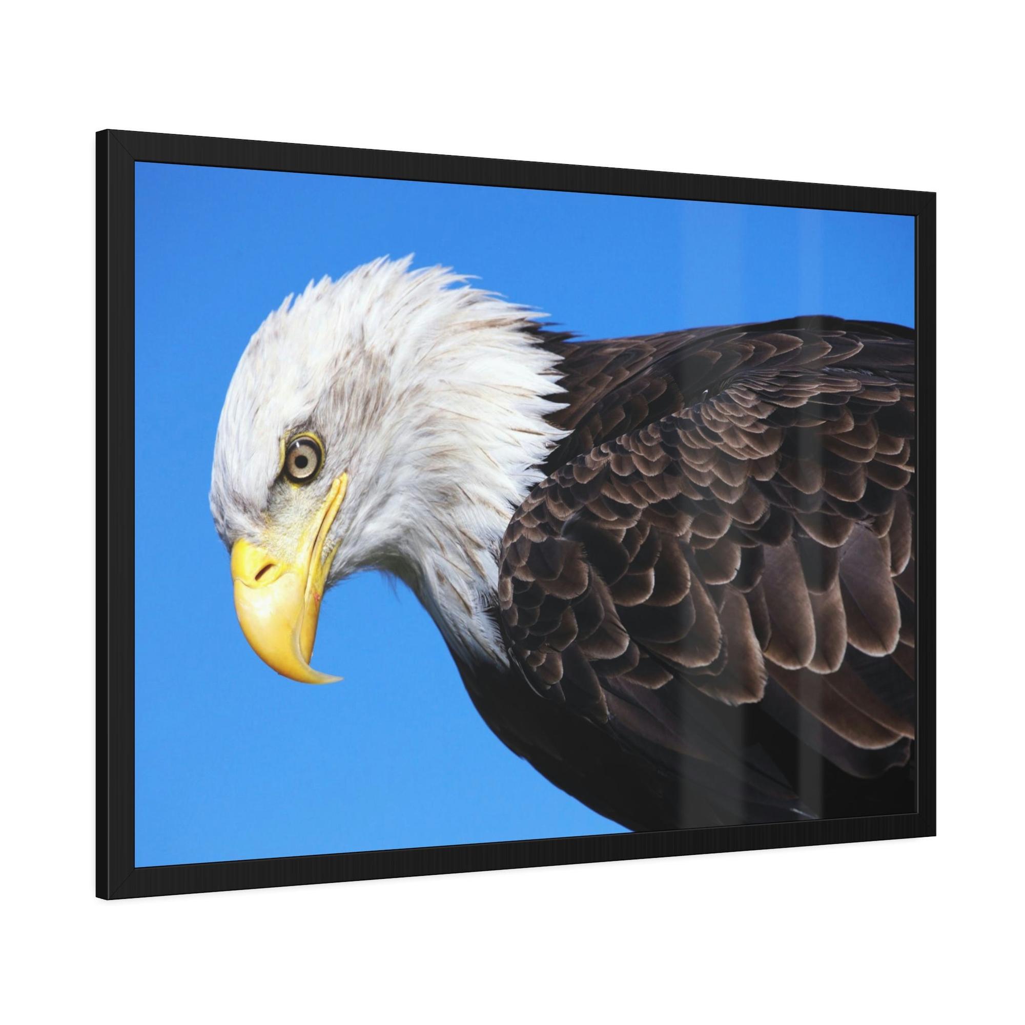Eagles Eagle's Enchantment: Artistic Canvas Print Conjuring the Magic of their Presence