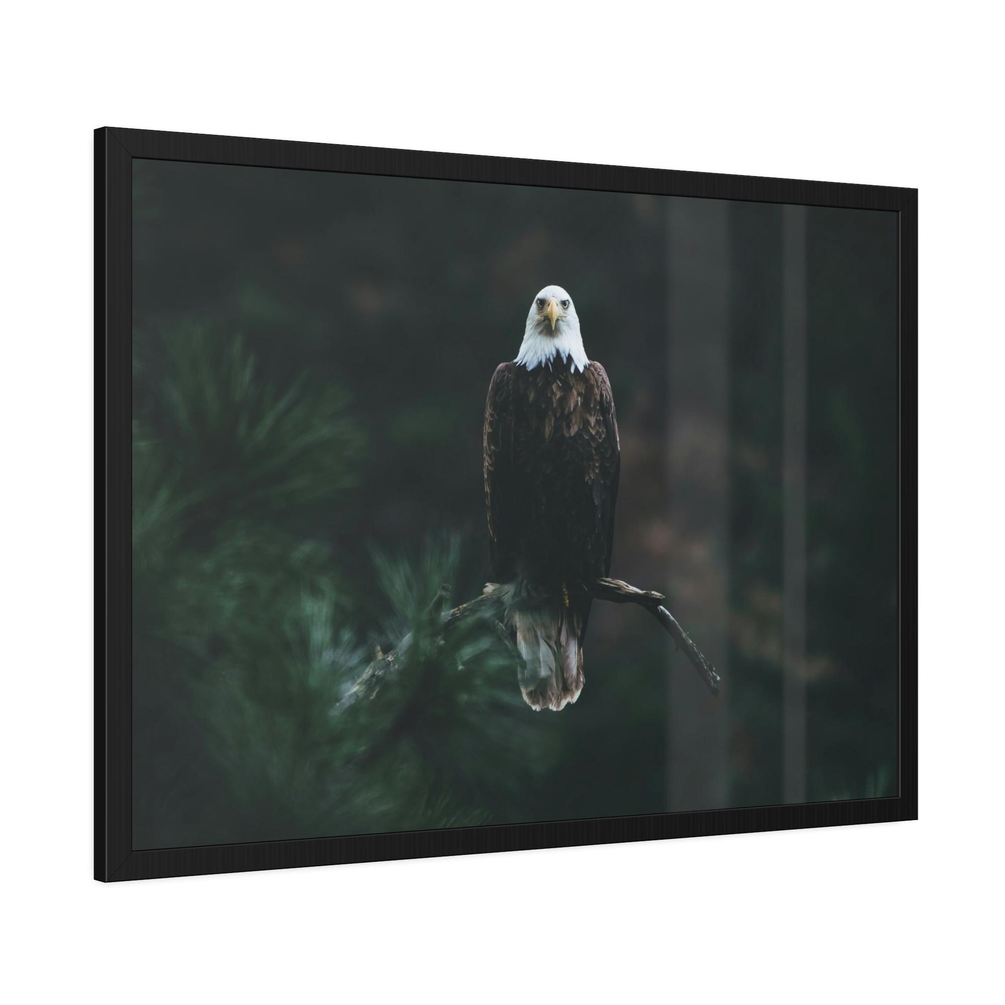 Eagles Eagle's Serenity: Canvas Print, Capturing their Tranquil and Regal Aura