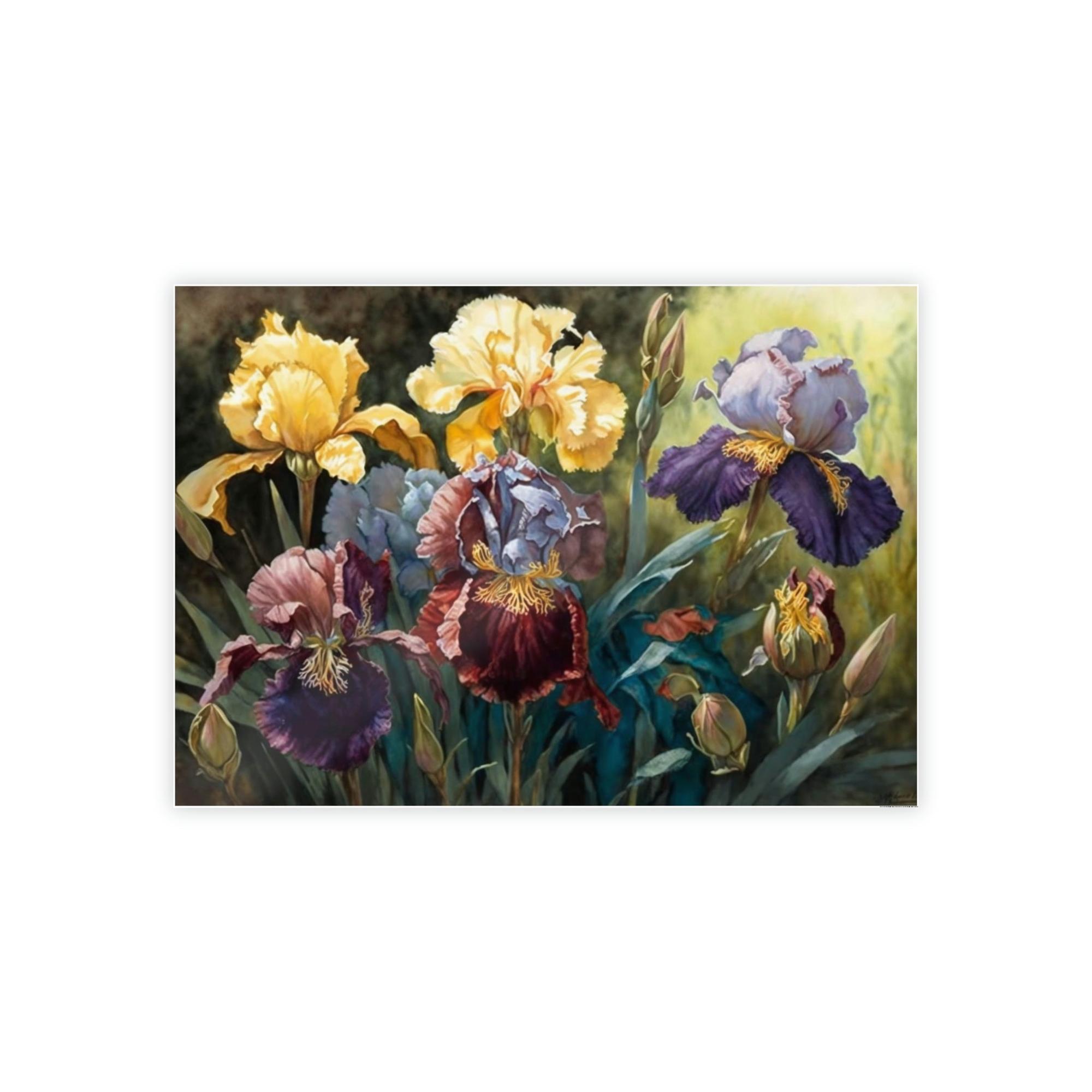 Irises Iris Dance: A Canvas of Petals in Motion