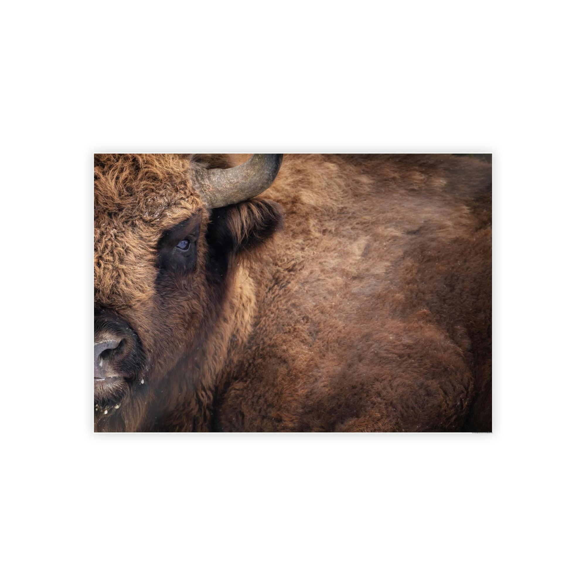 Bulls Artistic Bull Illustration: Natural Canvas and Poster Prints