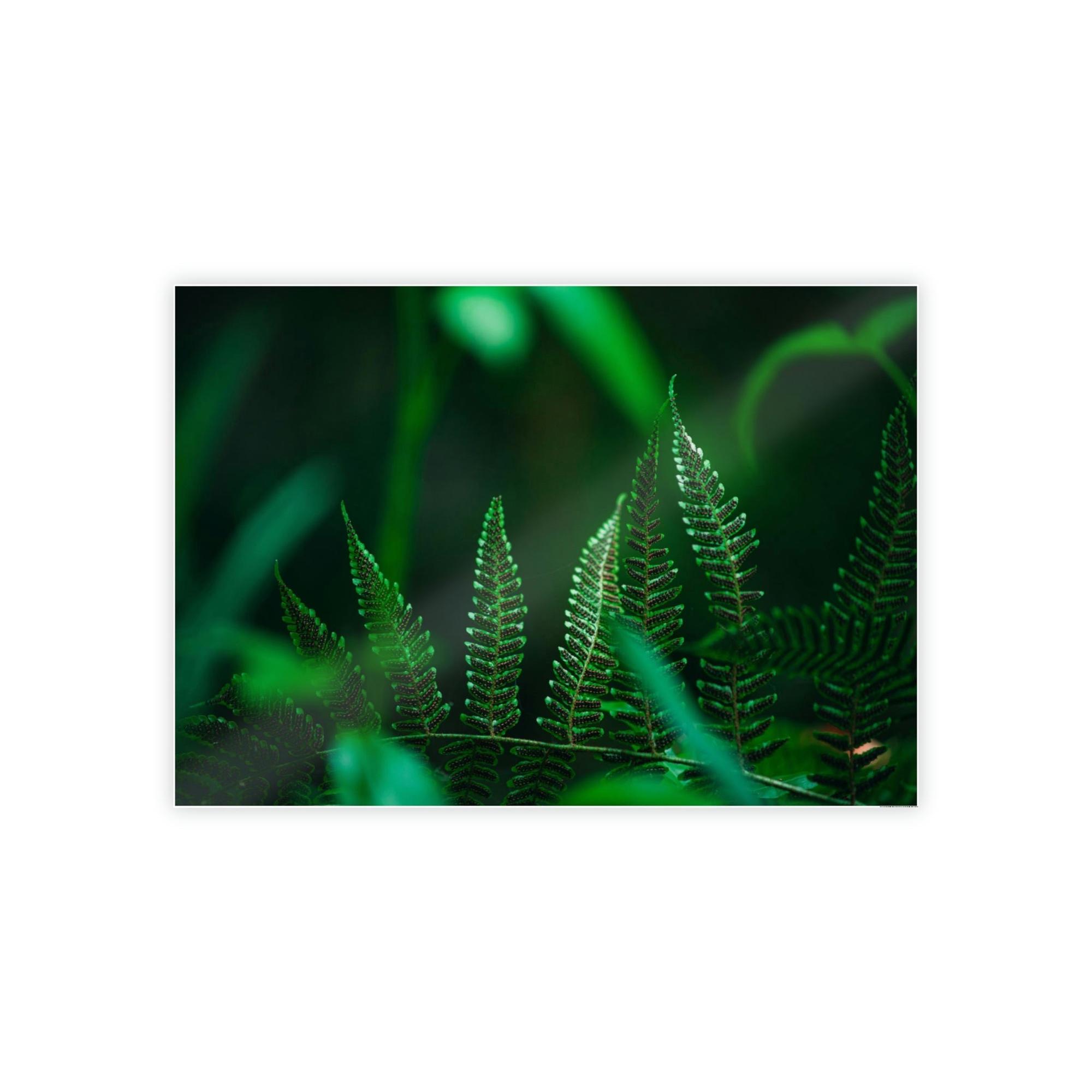 Plants A Flourishing Oasis of Plants: A Haven of Peace and Tranquility