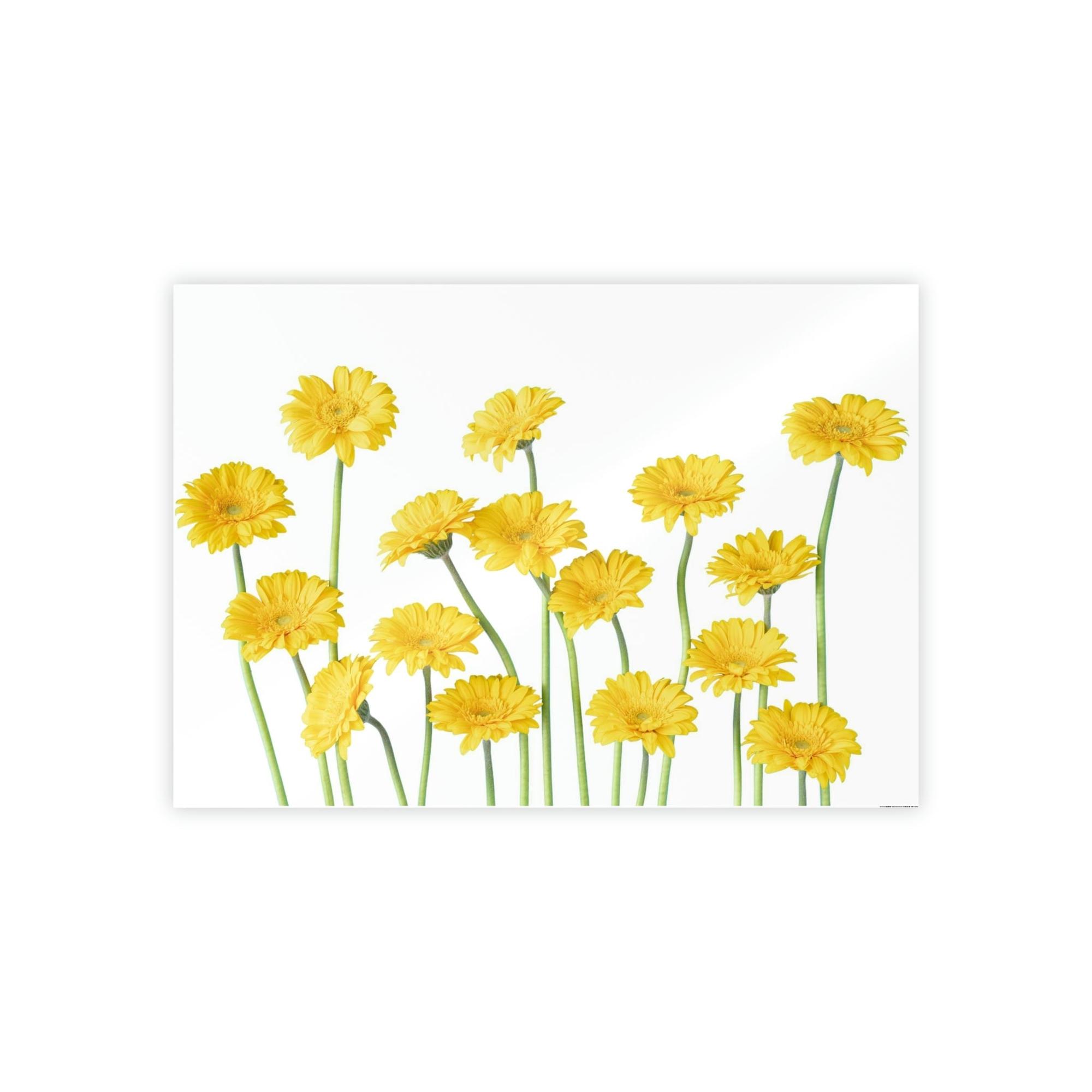 Floral Floral Frenzy: A Burst of Blossoms