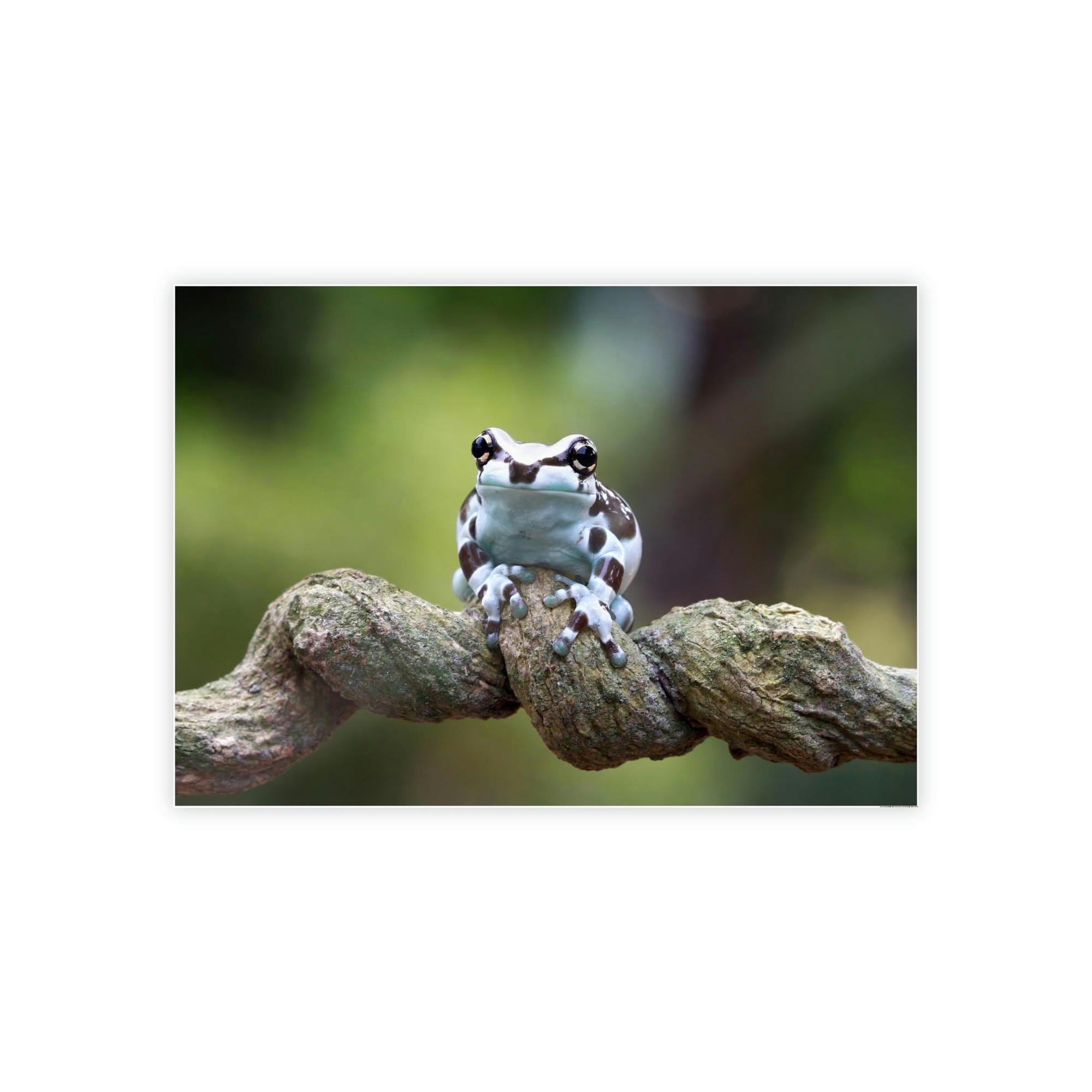 Frogs The Magic of Frogs: A Mystical Journey Through Nature's Realm
