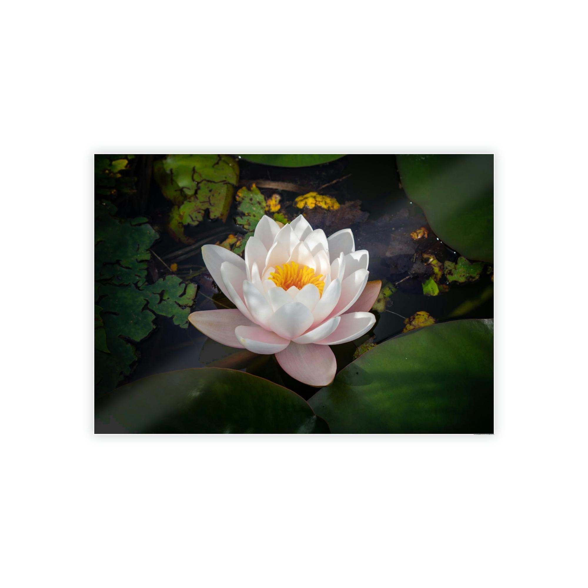 Lilies & Waterlily Tranquil Waters: A Canvas Depiction of Lilies Afloat