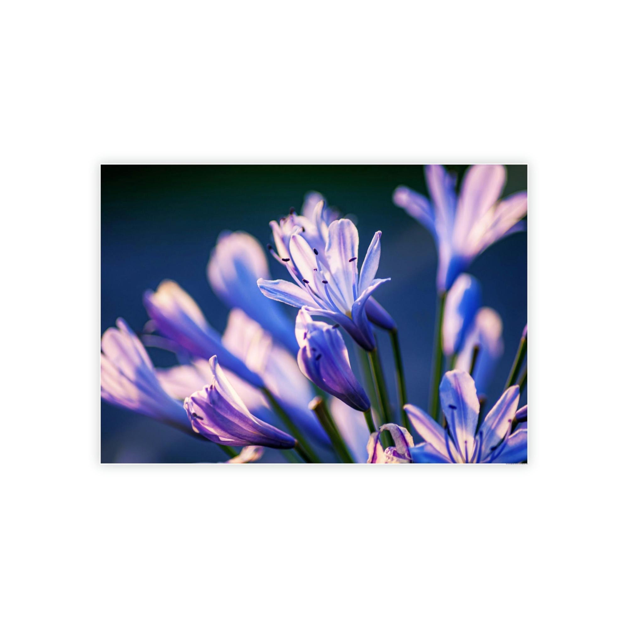 Spring The Magic of Spring: A Wonder-Filled Journey Through the Season's Wonders