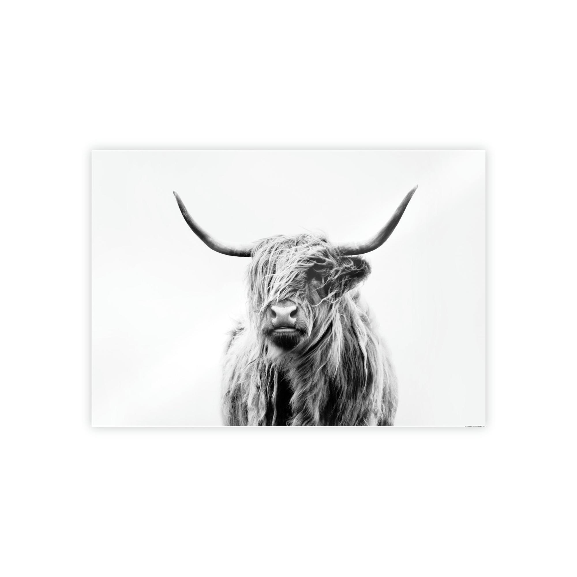 Highland Cow Nature's Majesty: Cow Art for a Breathtaking Wall Art Statement