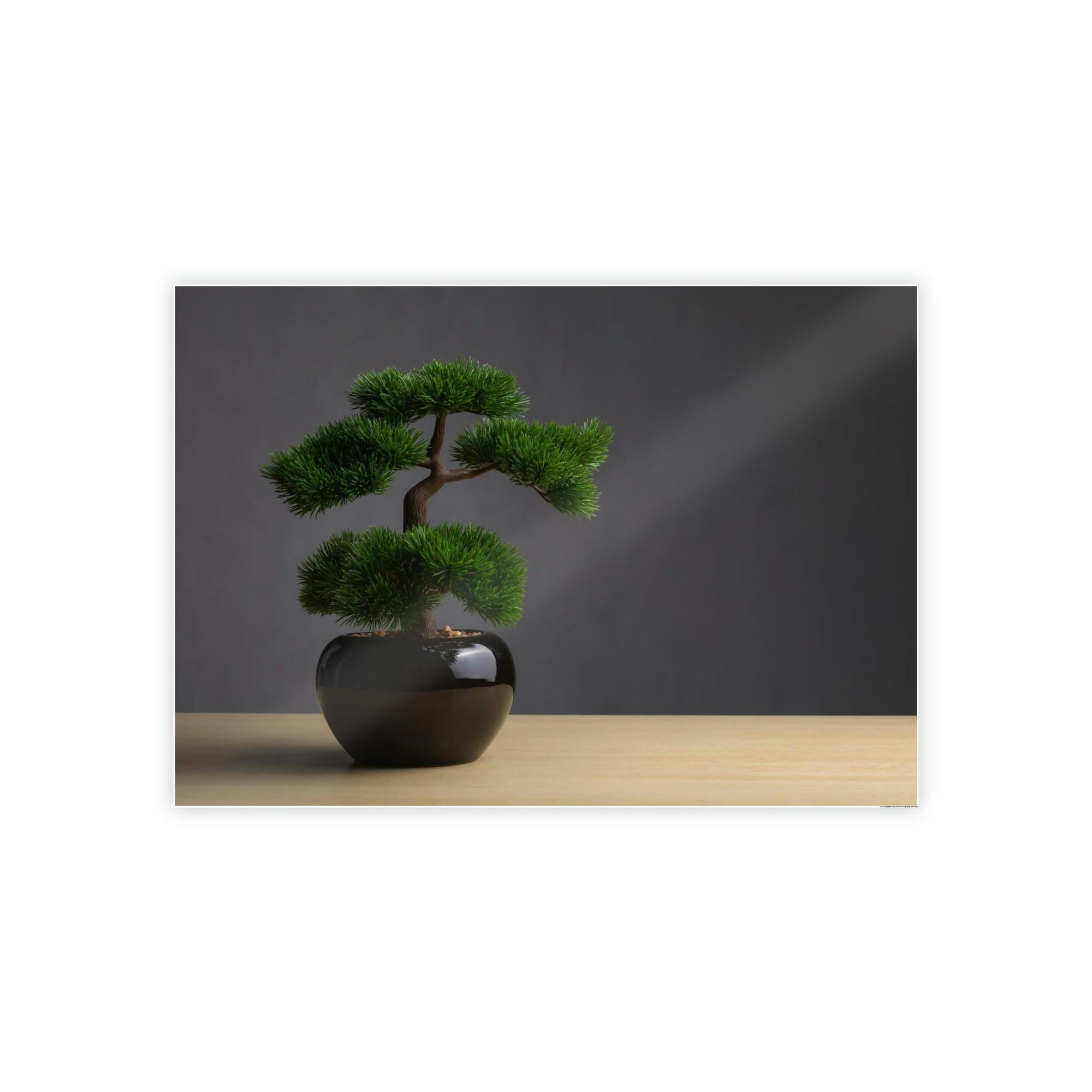 Bonsai Tree Bonsai Beauty: Wall Art and Print on Canvas with Serene Bonsai Tree Art