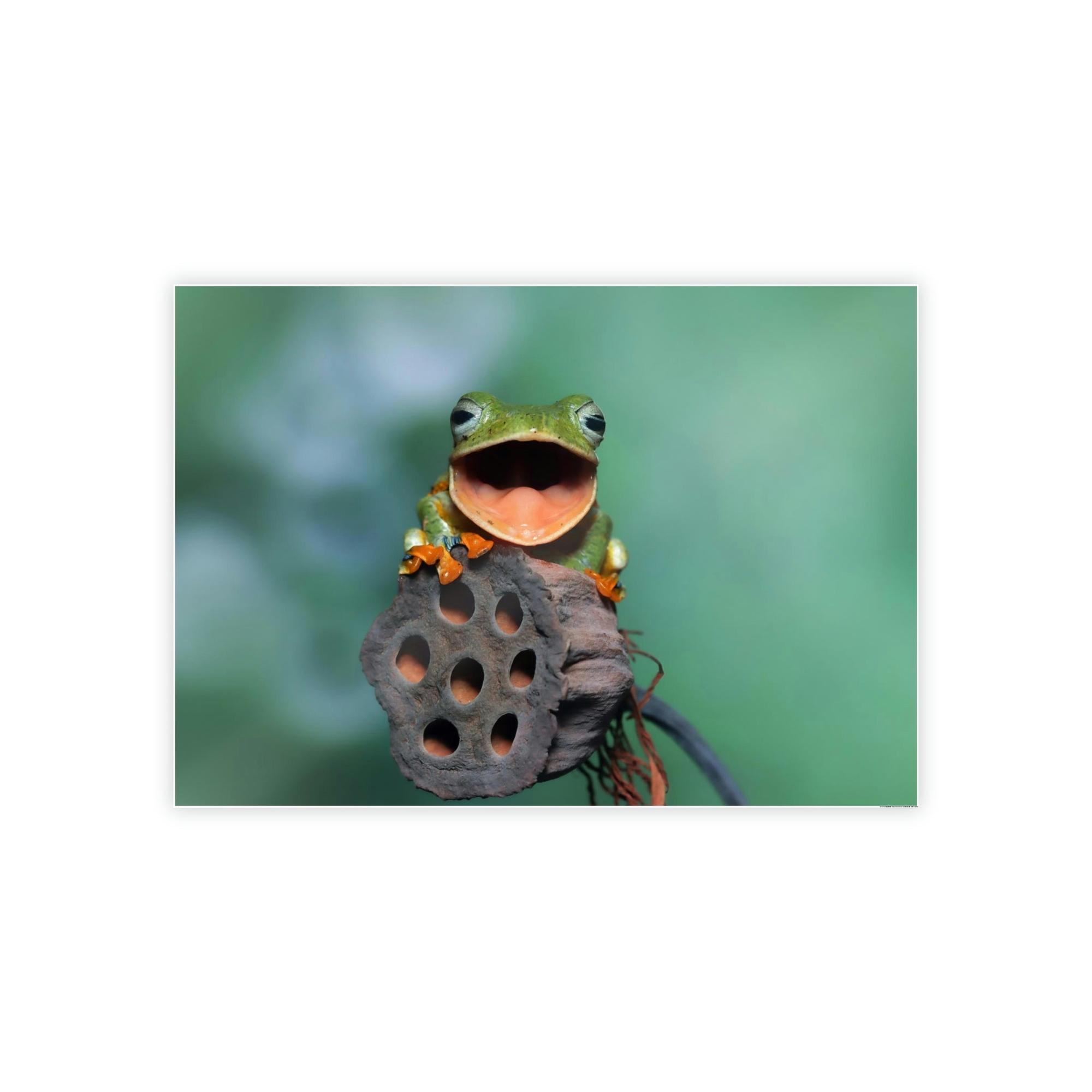 Frogs A Frog's World: An Exploration of Amphibian Life and Habitats