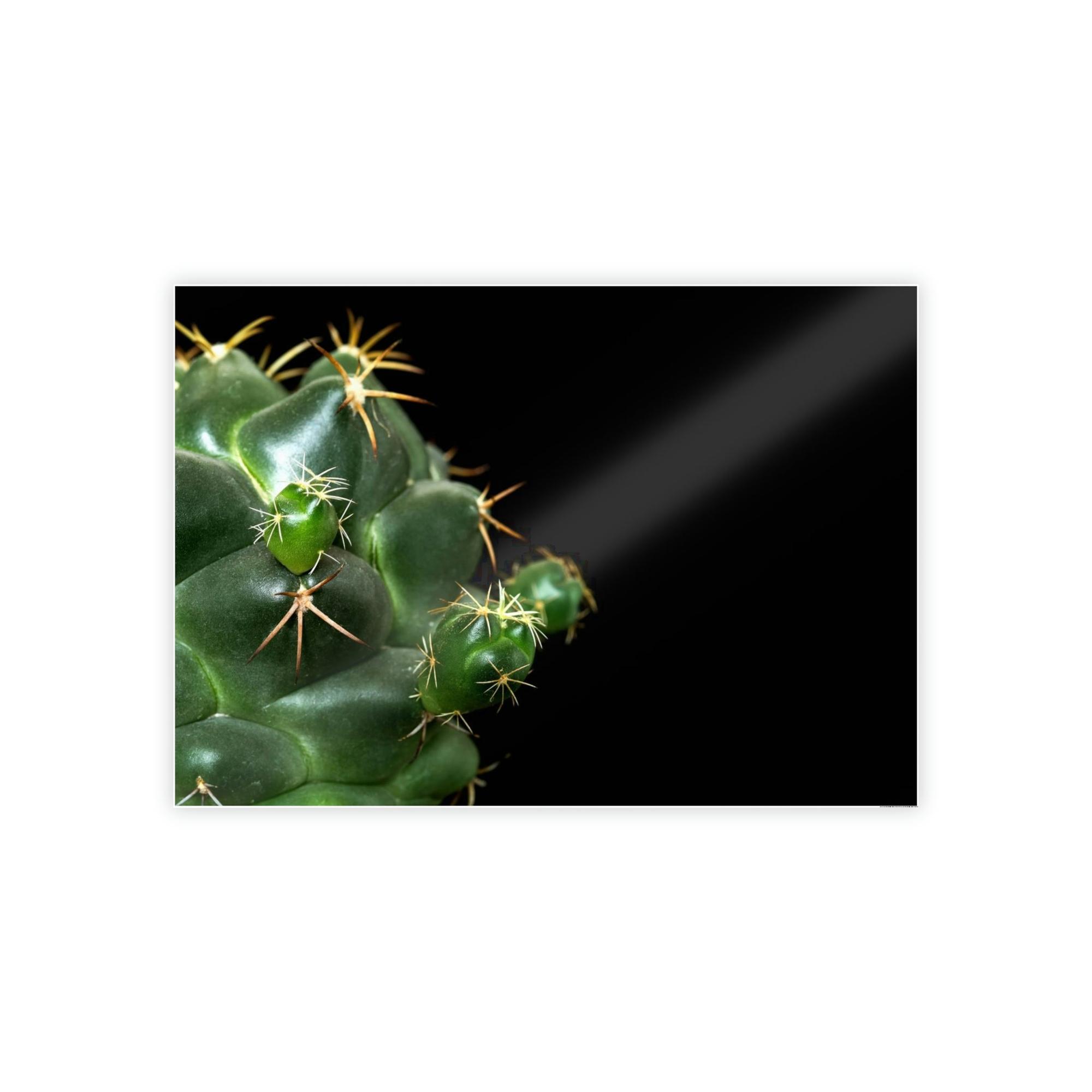 Cactus Succulent Splendor: Natural Canvas Cactus Print for a Modern Look