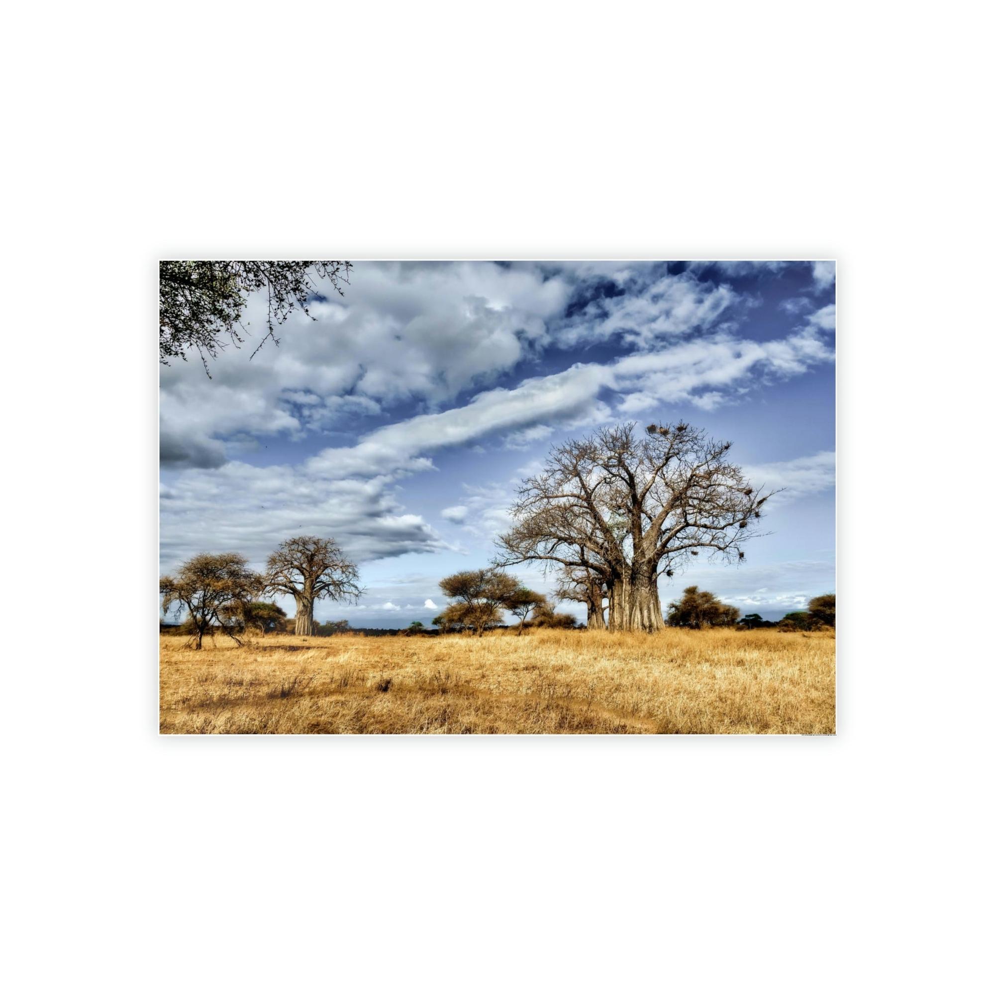 Safari Wilderness Expedition: A Trek Through the African Savanna