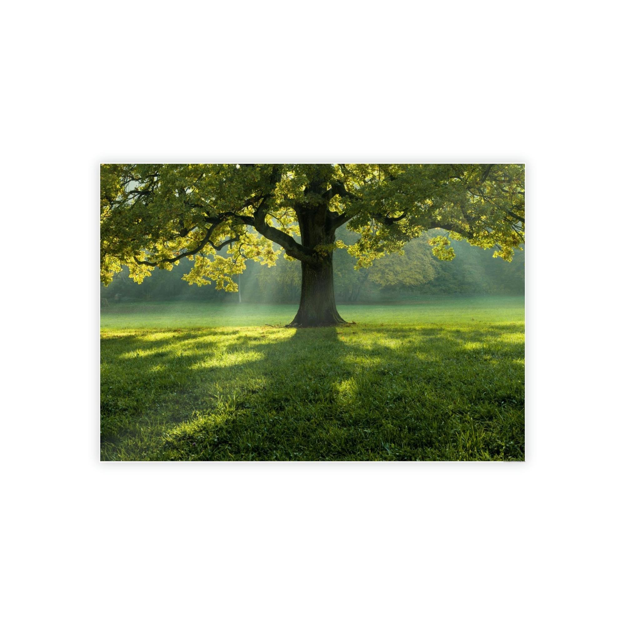 Trees The Tree of Life: A Soaring Tribute to the Power of Nature