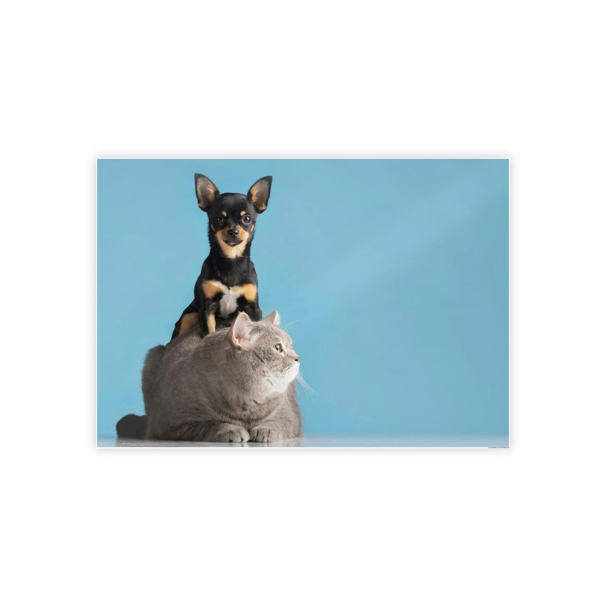 Animals Animal Kingdom: Canvas Art Featuring a Variety of Animals in a Natural Habitat