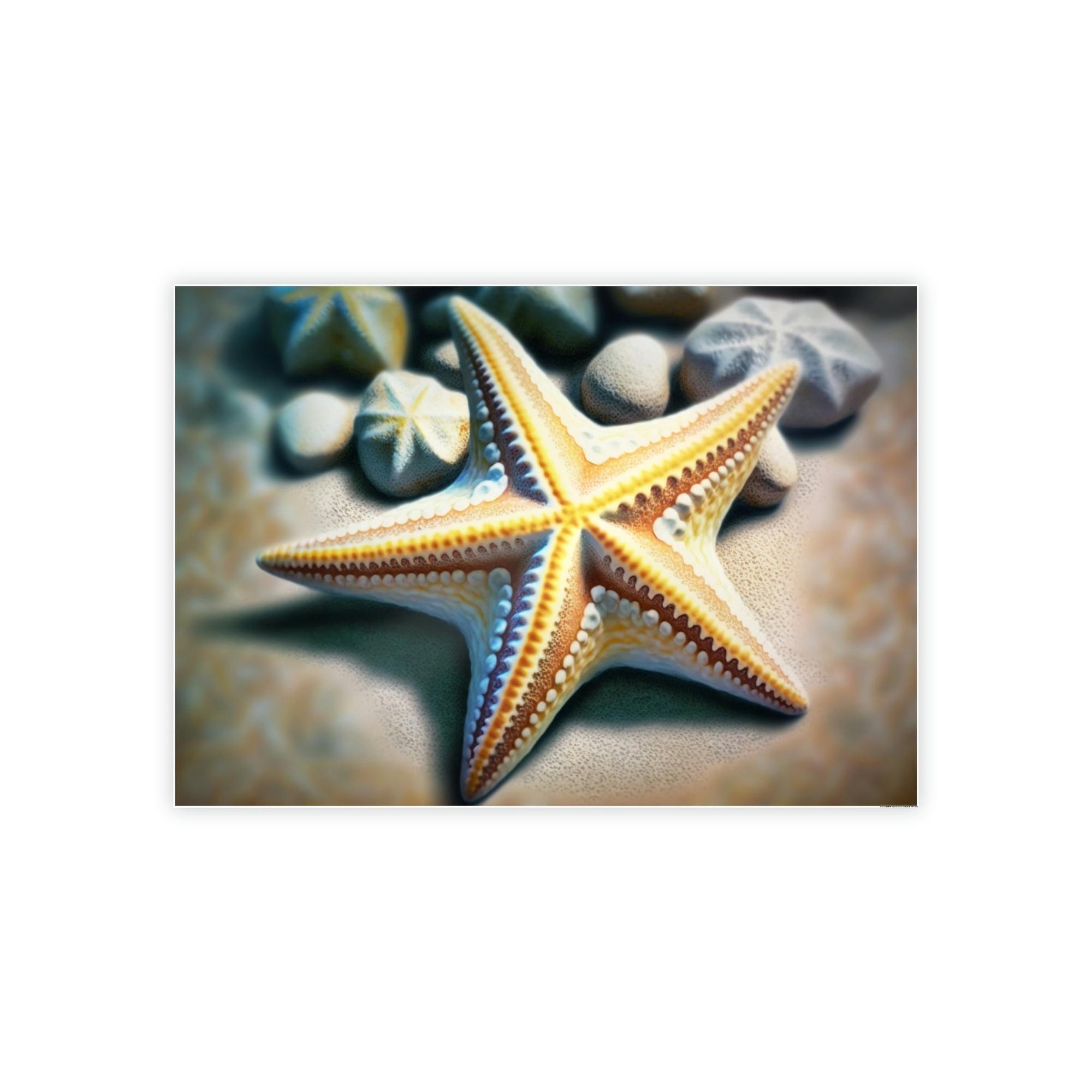 Starfishs Dancing with Starfish: A Marine Fantasy