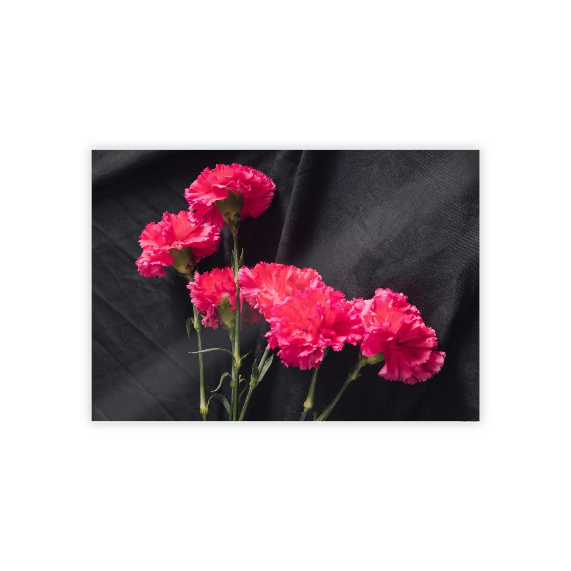 Carnations Beautiful Blooms: Natural Canvas and Art Prints of Carnations