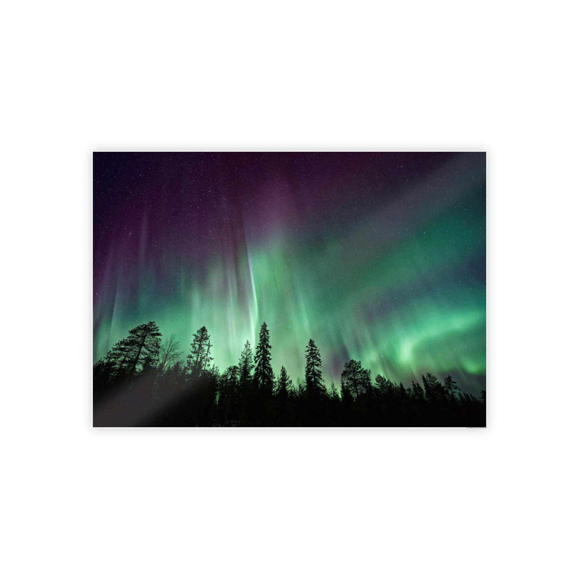 Aurora Borealis The Magic of Aurora Borealis: A Spellbinding Canvas