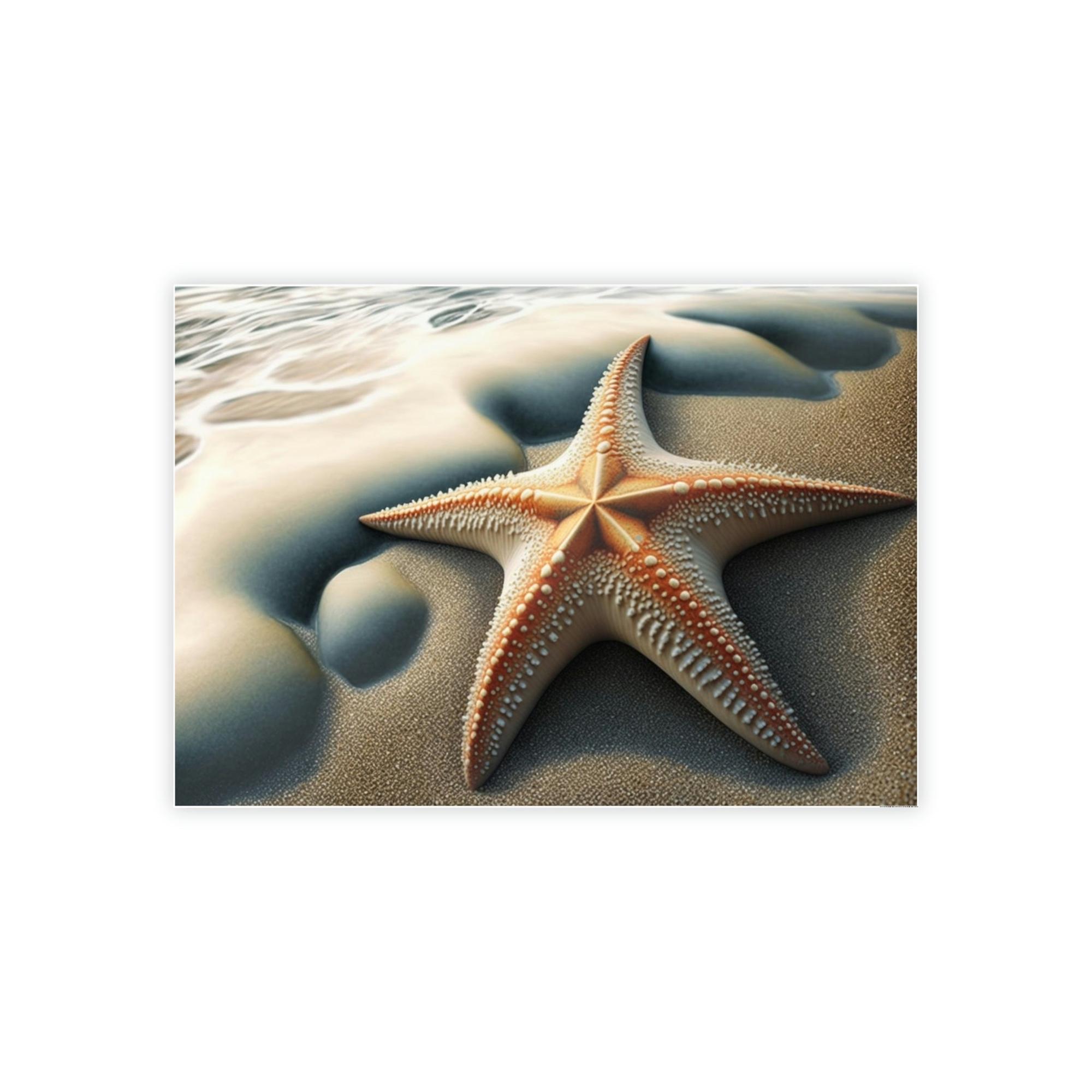 Starfishs Coral Kingdom: Starfish Edition