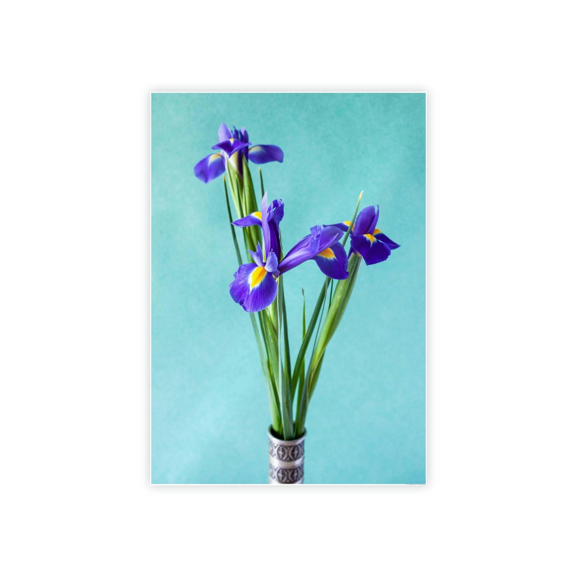 Irises Iris Radiance: A Canvas of Bright and Bold Blossoms