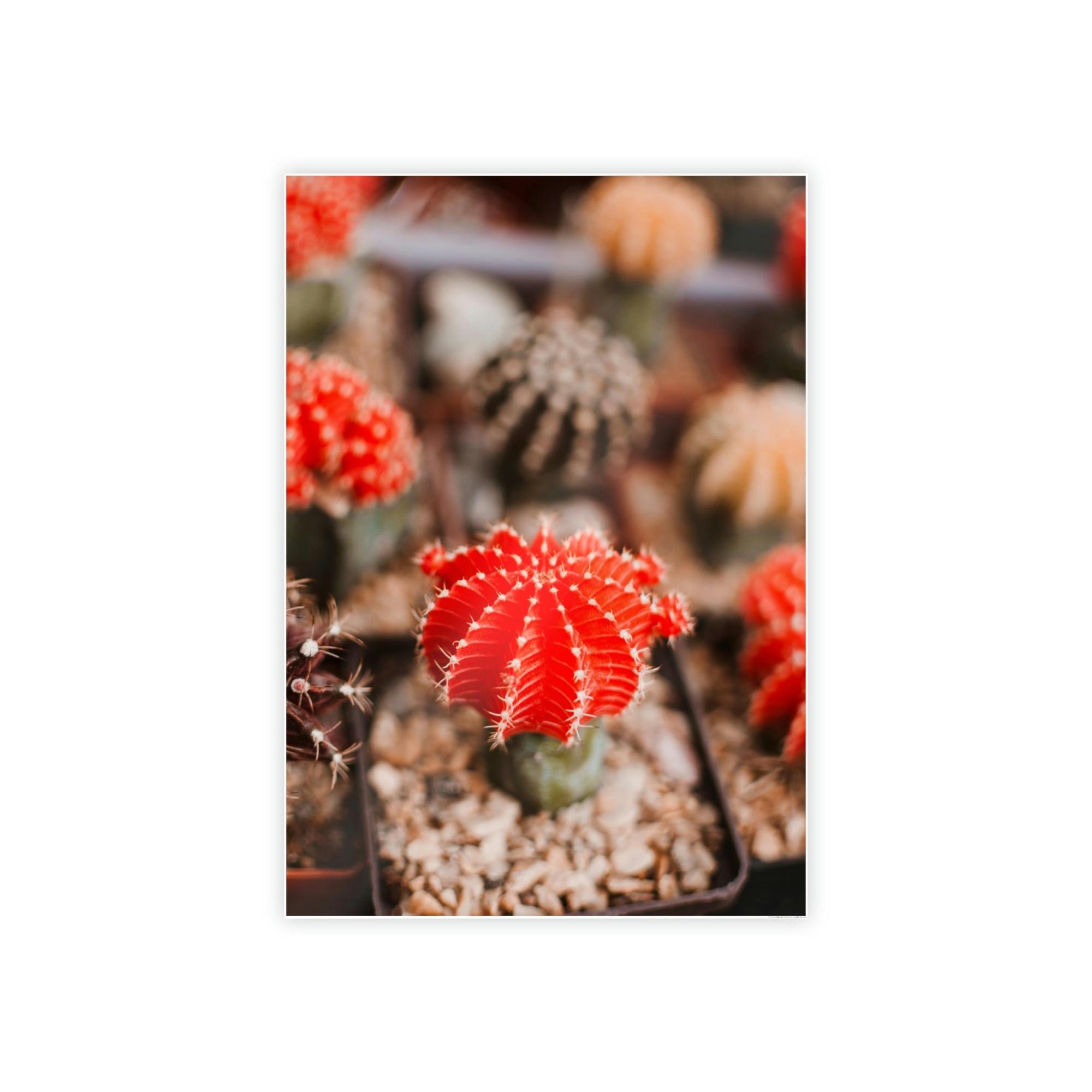 Cactus Cactus Kingdom: Canvas and Poster Prints of a Prickly Paradise