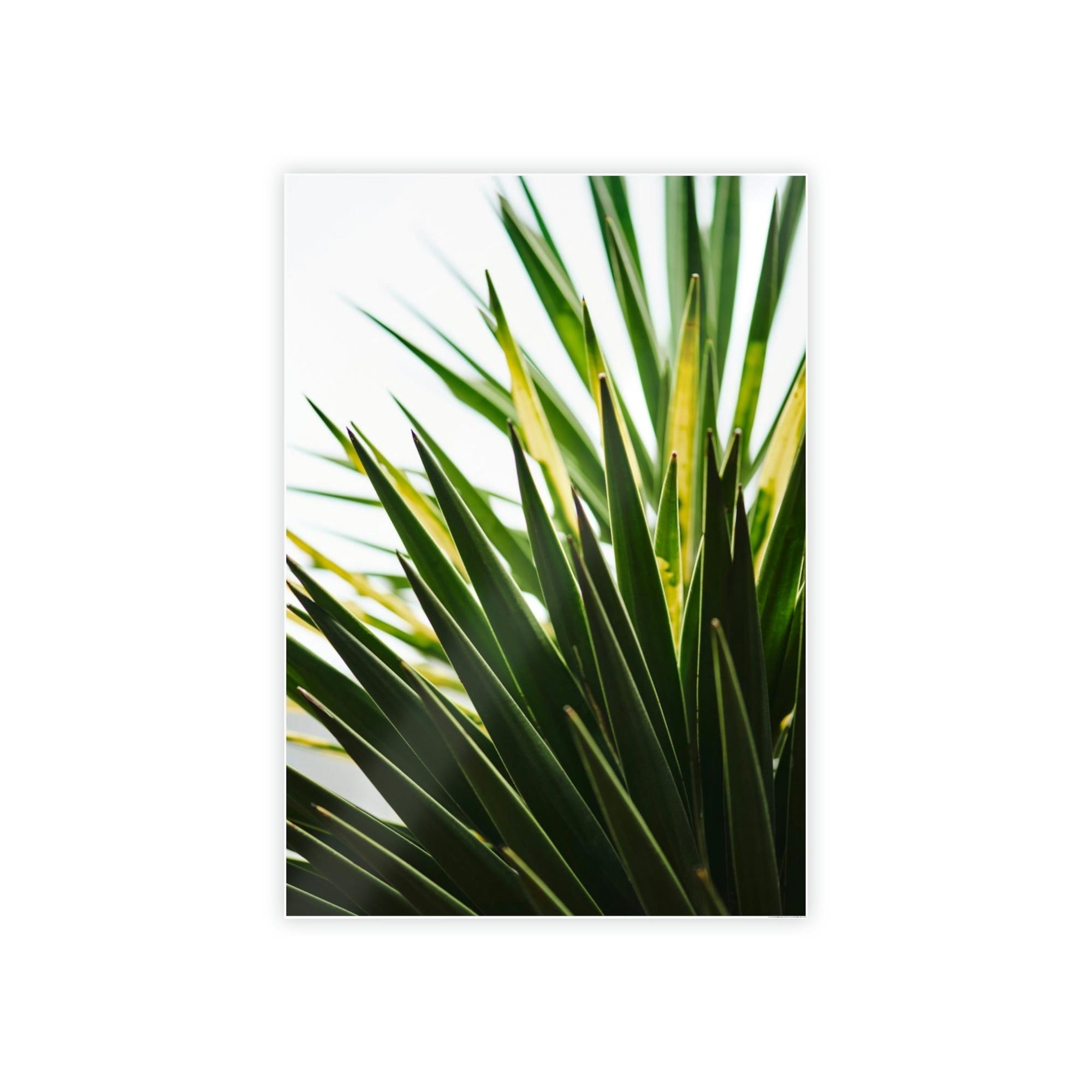 Plants The Majesty of Plants: A Regal Display of Nature's Splendor
