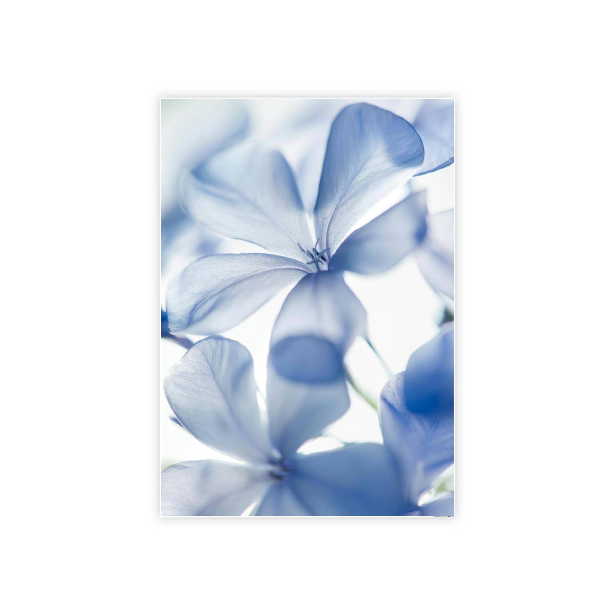 Floral Floral Whispers: Nature's Soft Symphony