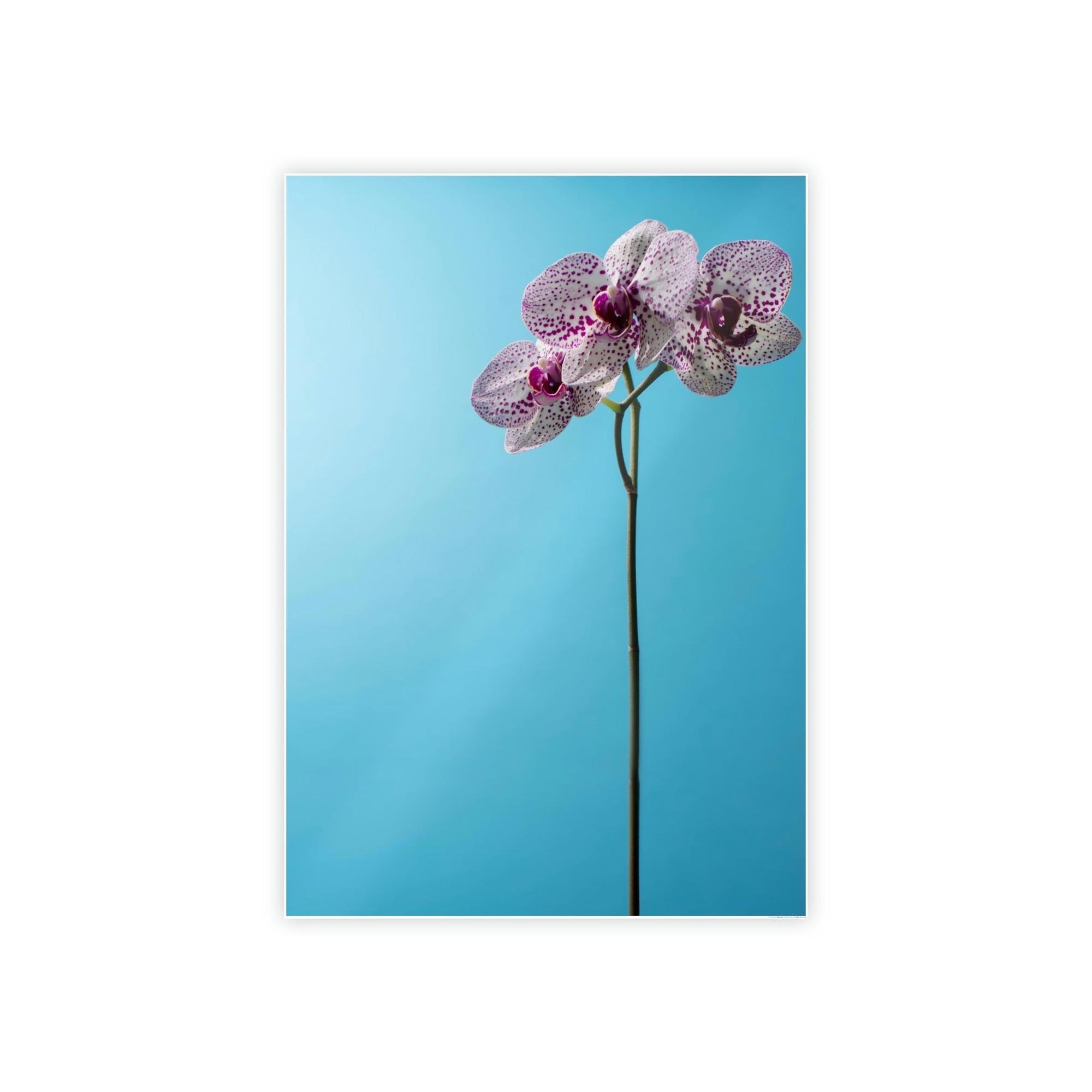 Orchids Orchid Elegance: Serenity on Canvas