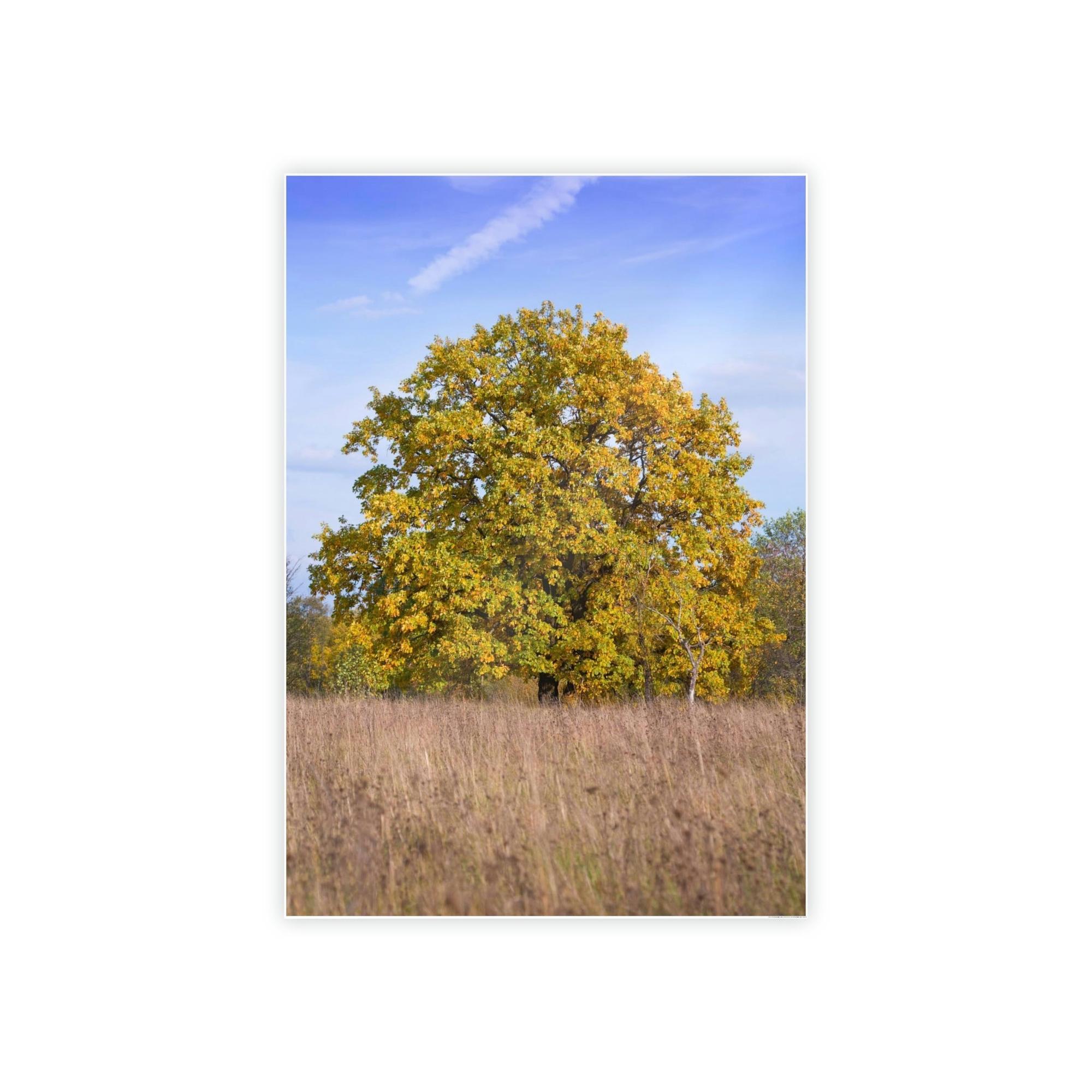 Oak Trees Whispers in the Wind: A Mystical Encounter with the Enchanting Oak Tree