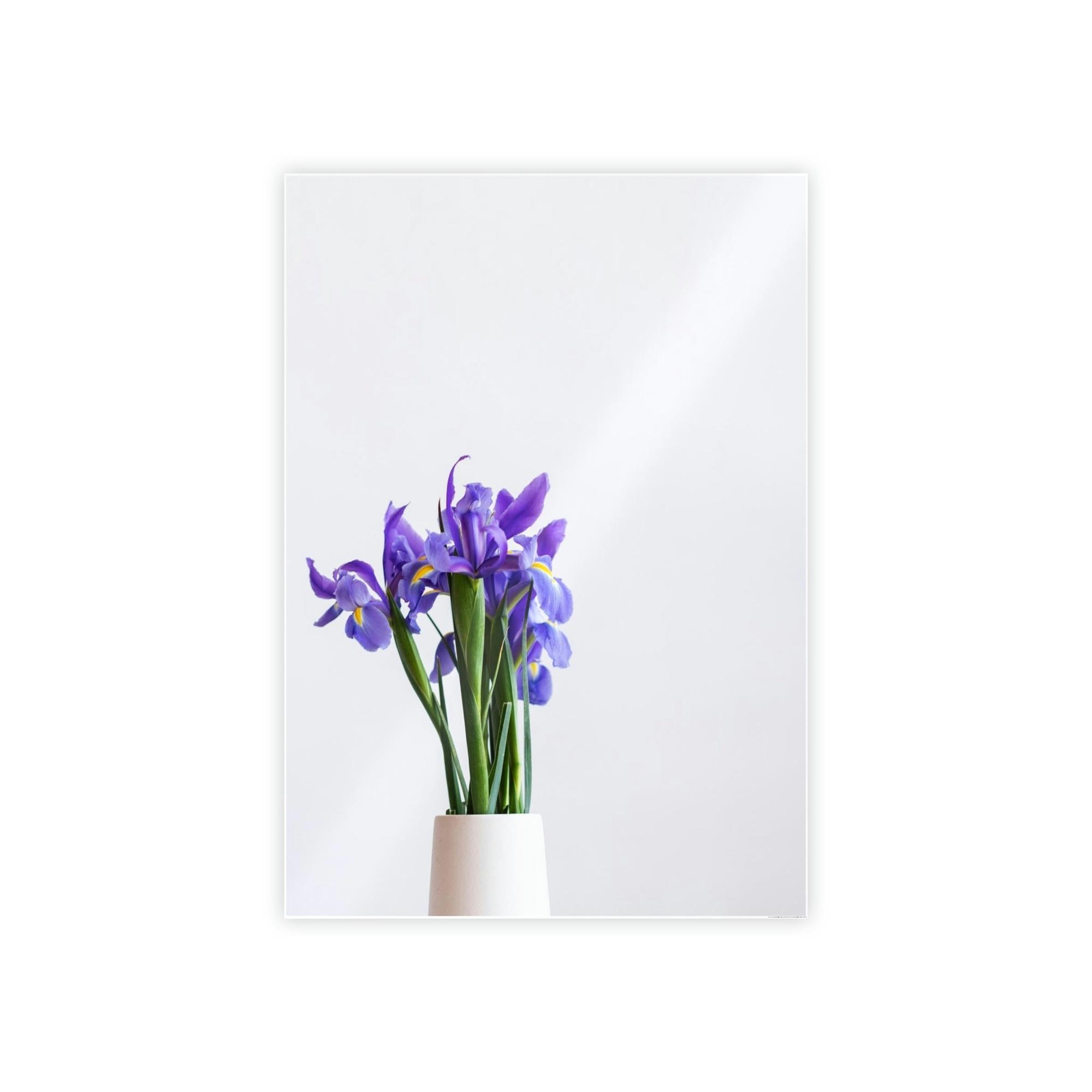 Irises Iris Oasis: A Canvas of Cool Breezes and Serenity