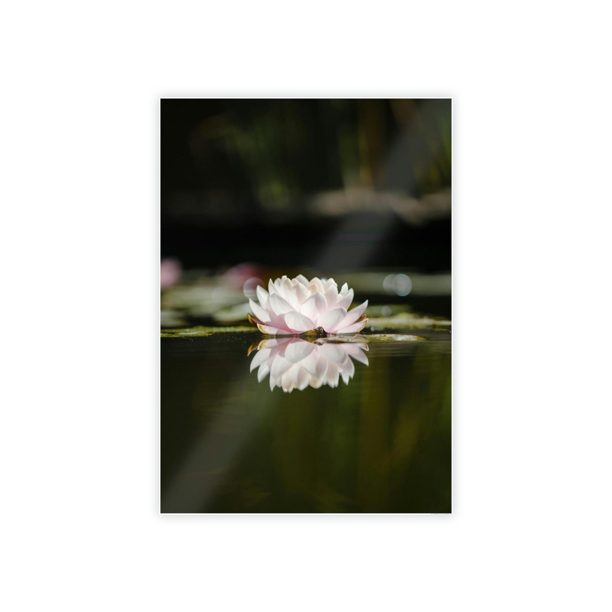 Lilies & Waterlily Waterlily Paradise: A Canvas of Natural Tranquility