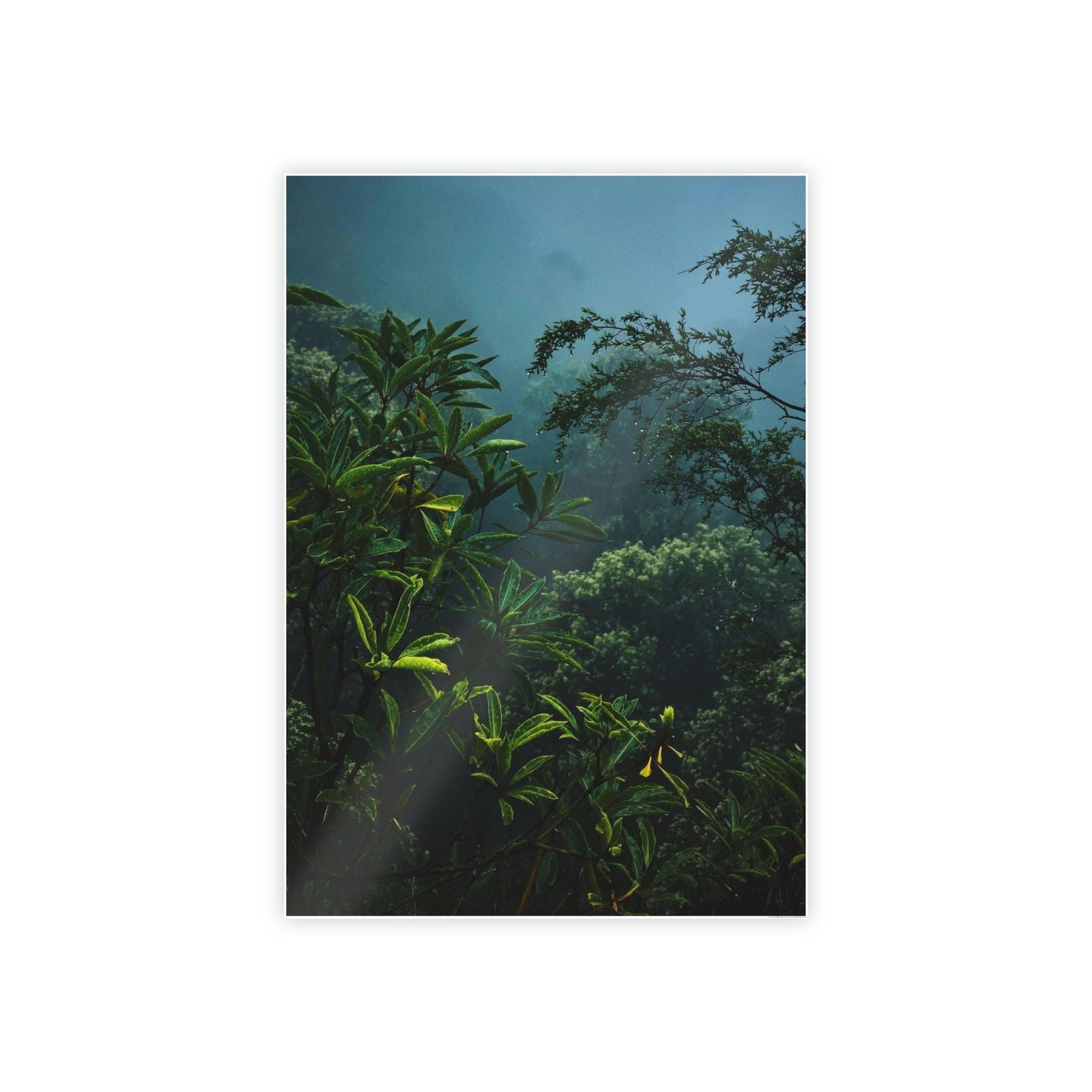 Forests And Jungles Forest and Jungle: A Haven of Tranquility and Serenity