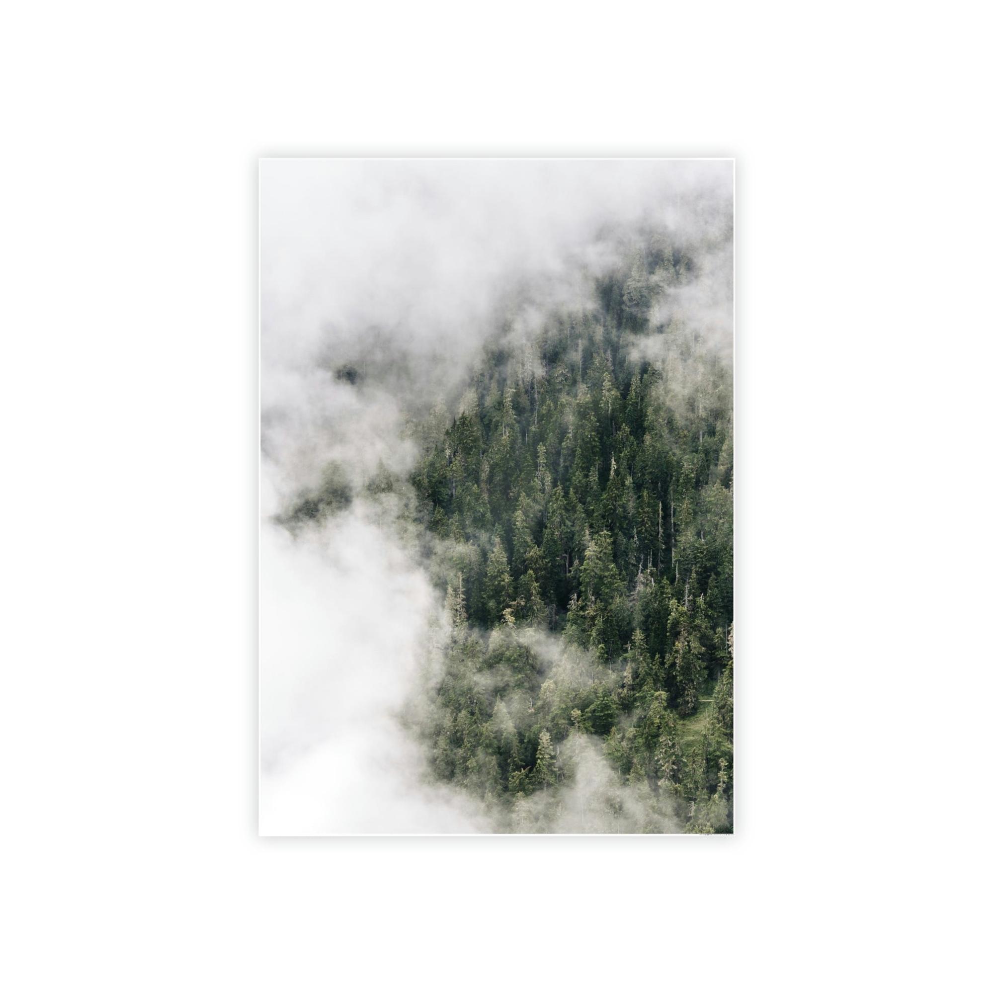 Forest Trees The Enchantment of the Woods: A Forest Dream