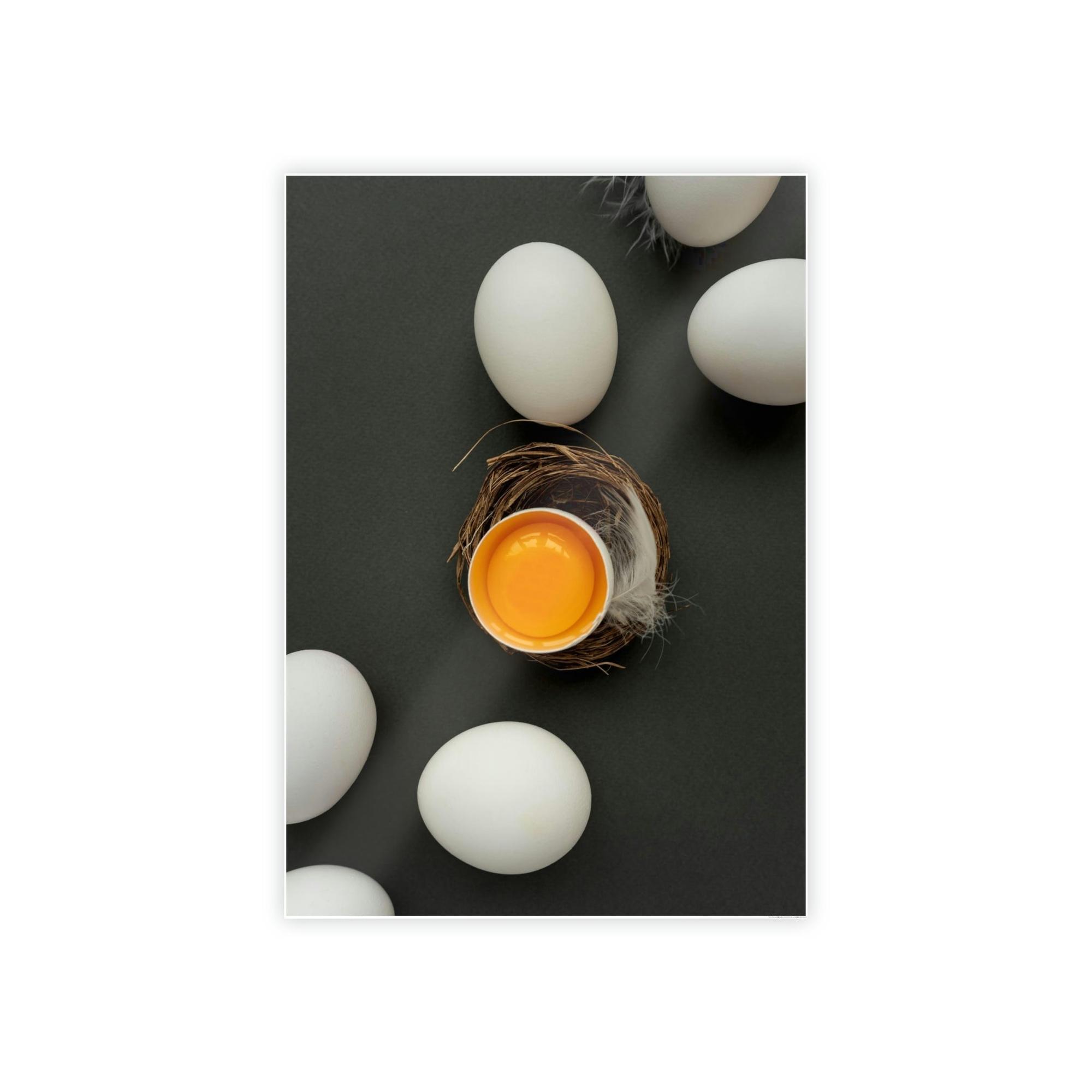 Eggs Eggshells and Sunbeams: A Still Life