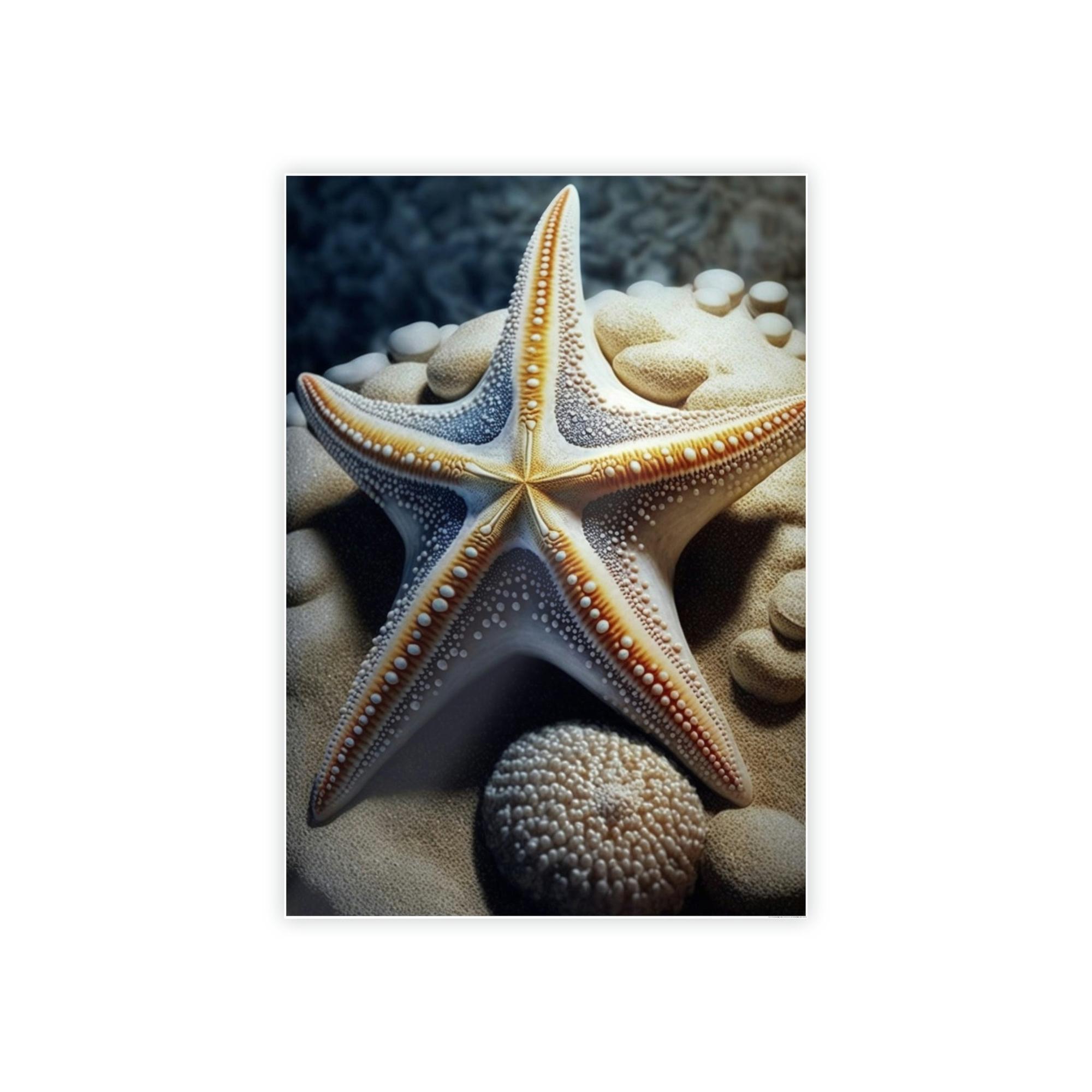 Starfishs Starfish Dreams: A Voyage to the Depths of Imagination