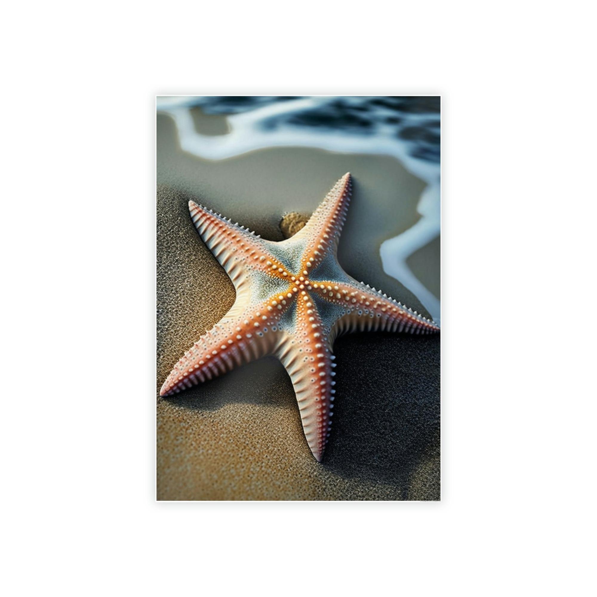 Starfishs Starfish Lullaby: A Calming Seascape