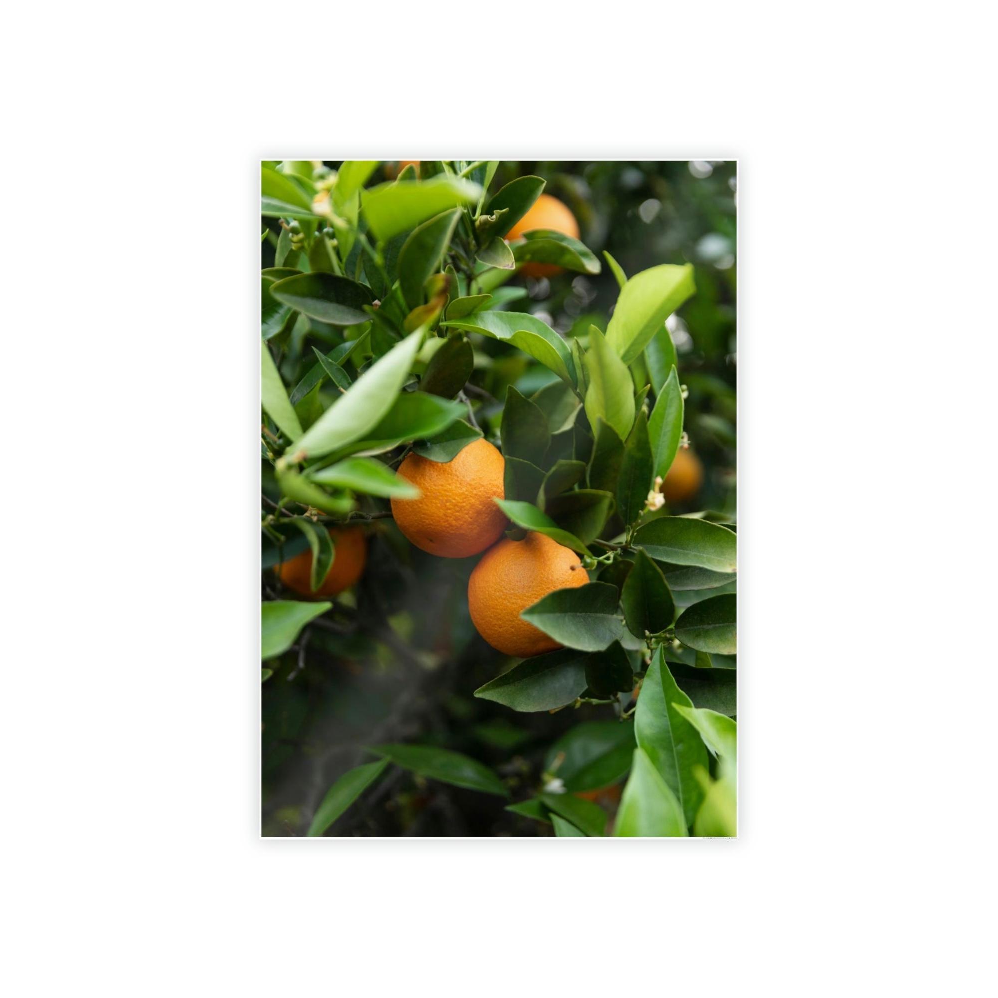 Fruit Trees Vivid Orchard: Fruit Trees Canvas Wall Decor