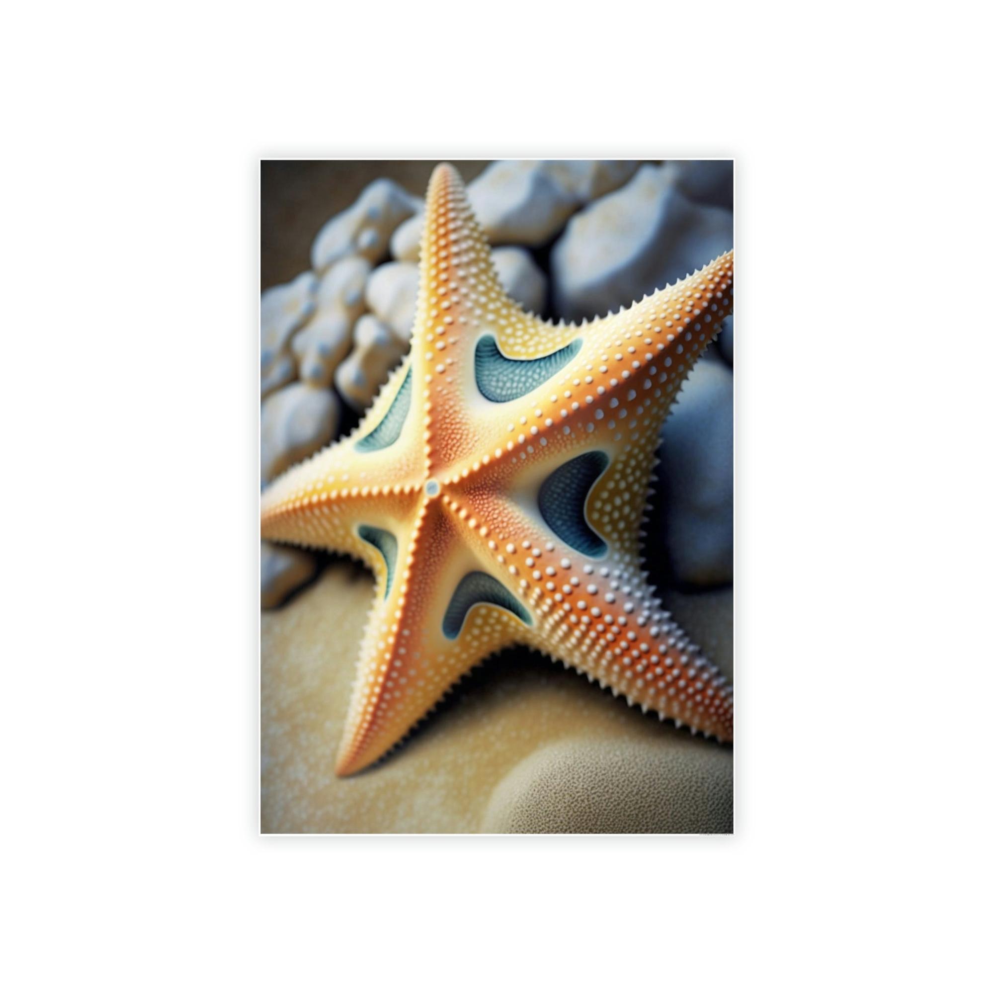 Starfishs Echoes of the Ocean: Starfish Symphony