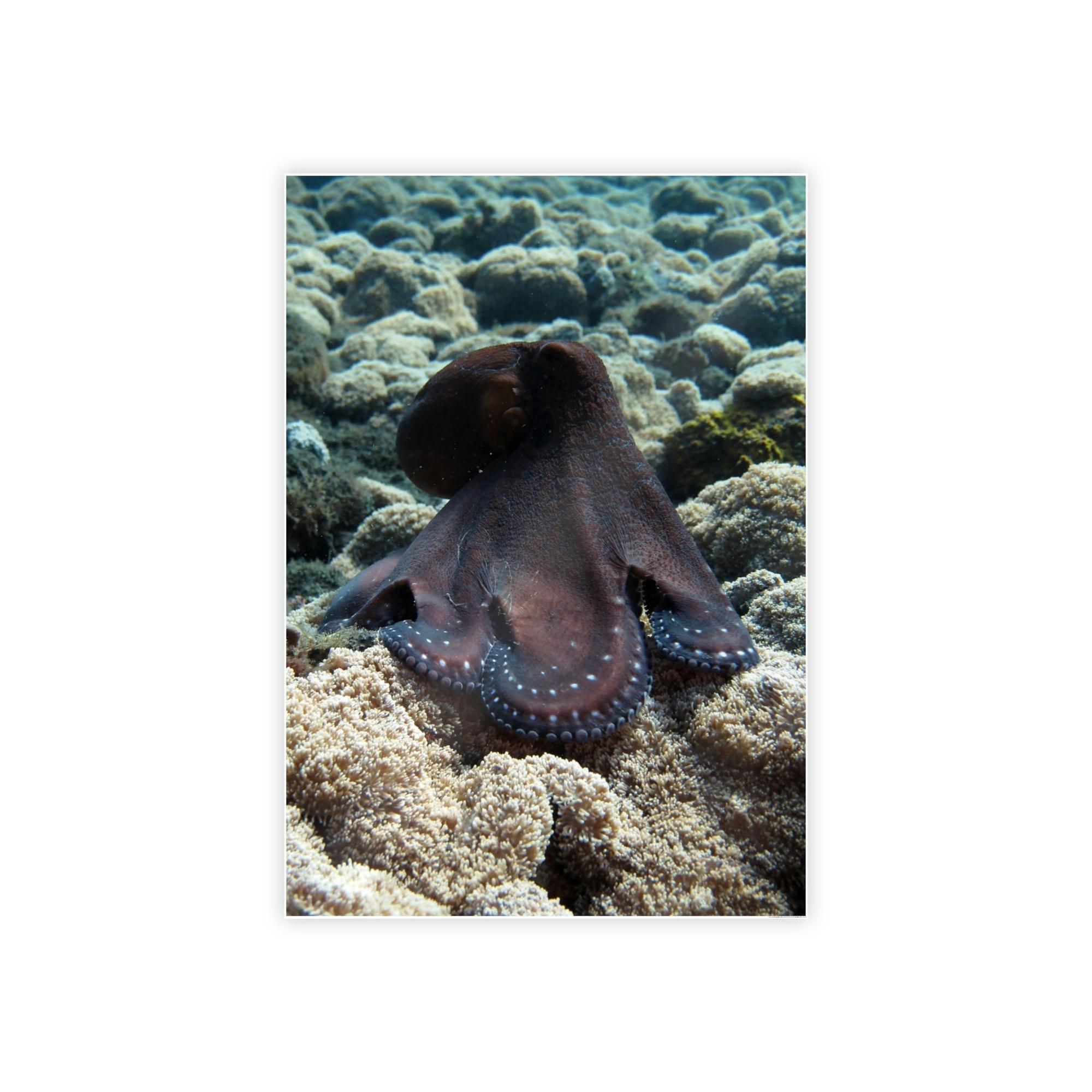 Octopuses The Enchantment of Octopuses: A Mysterious and Captivating Painting on Canvas