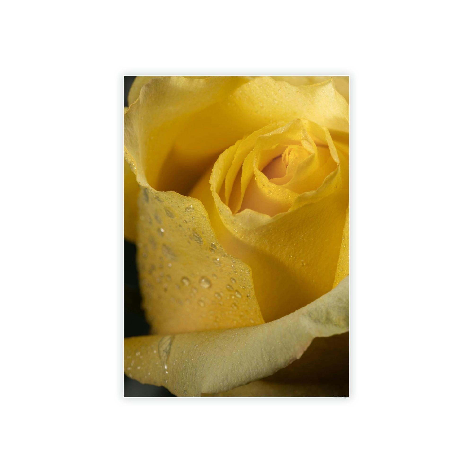 Roses Rose Radiance: A Vibrant and Lively Painting on Canvas